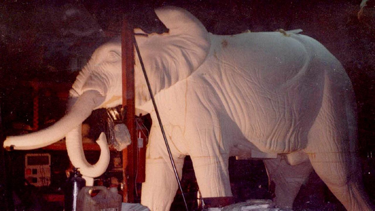 El elefante del rey 2003 movie scene