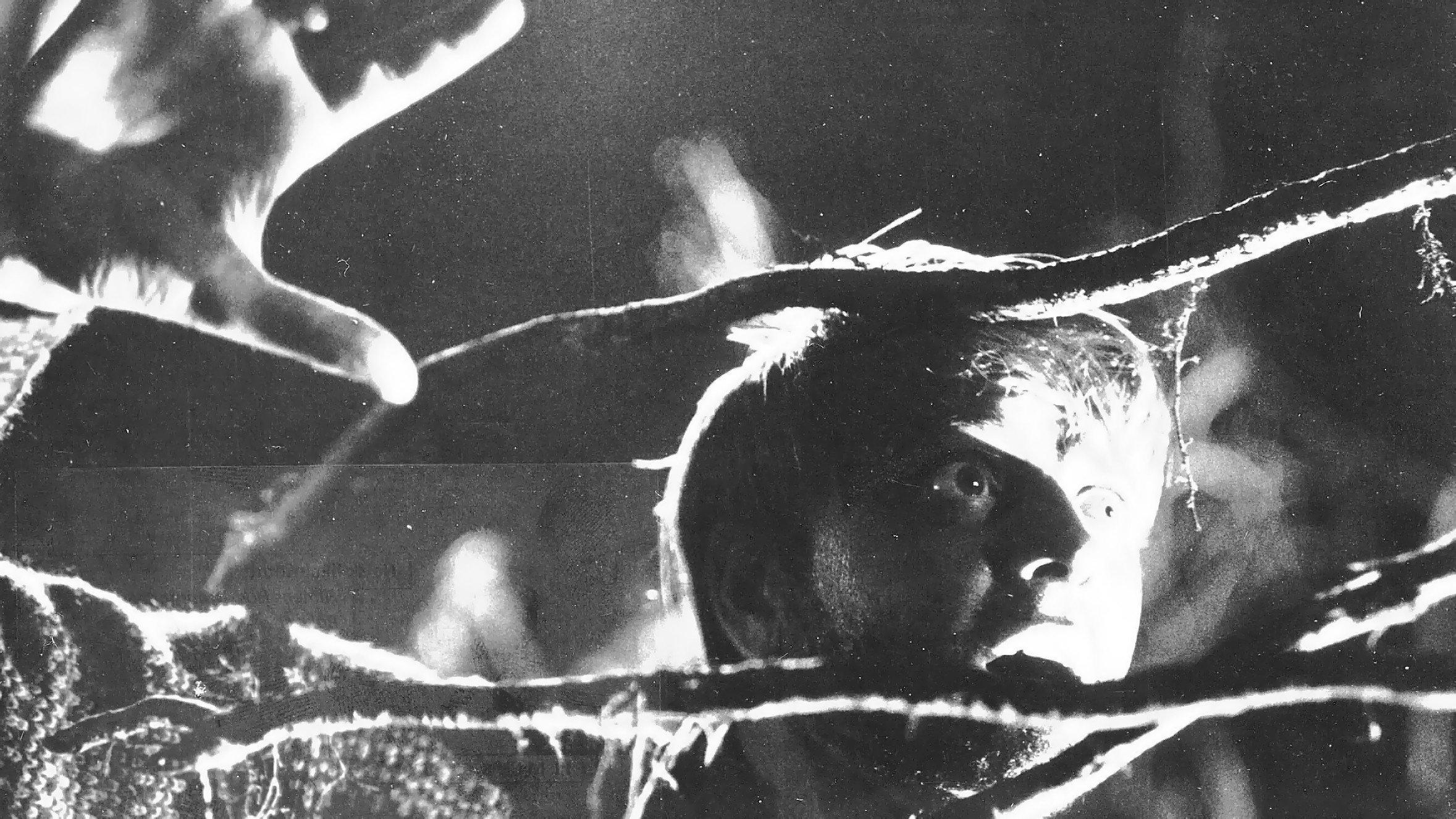 Lake of the Dead 1958 movie scene