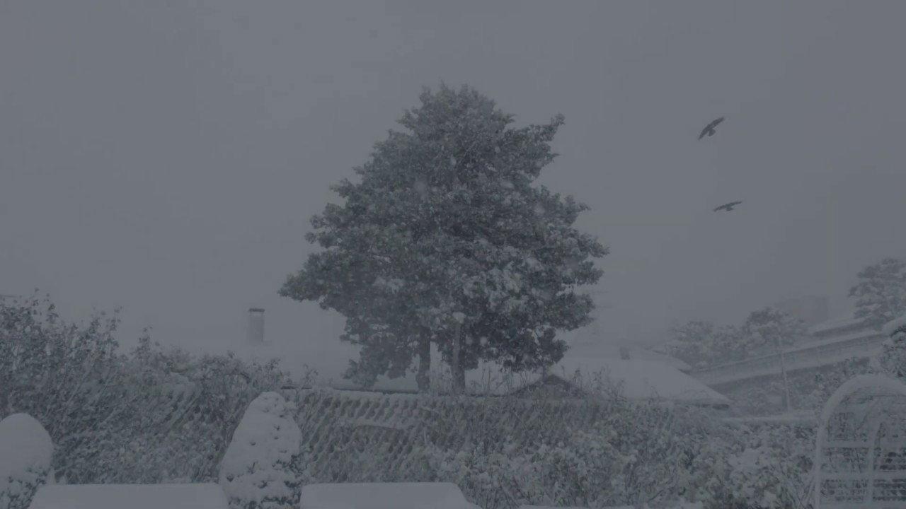 Hello in Hakodate 2019 movie scene