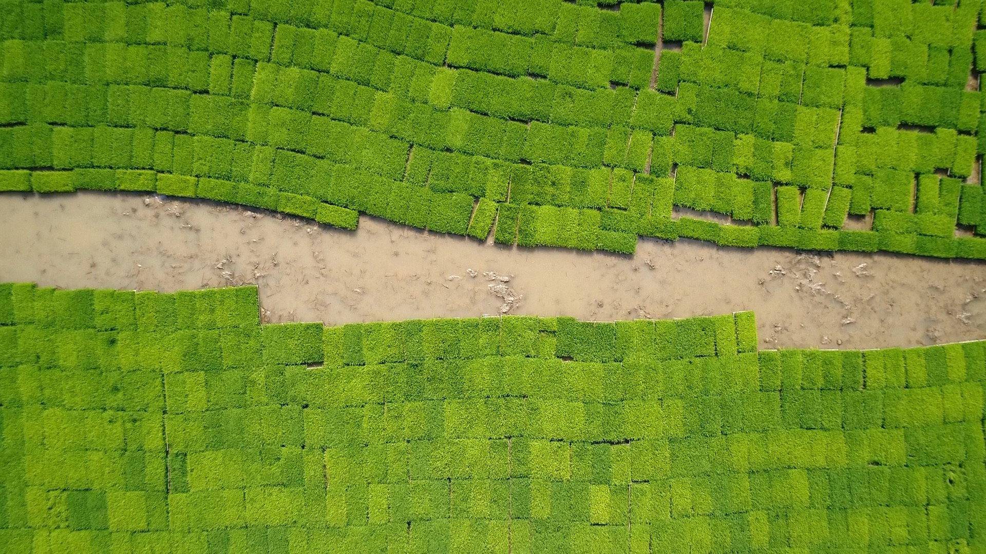 The Memory of Water 2019 movie scene