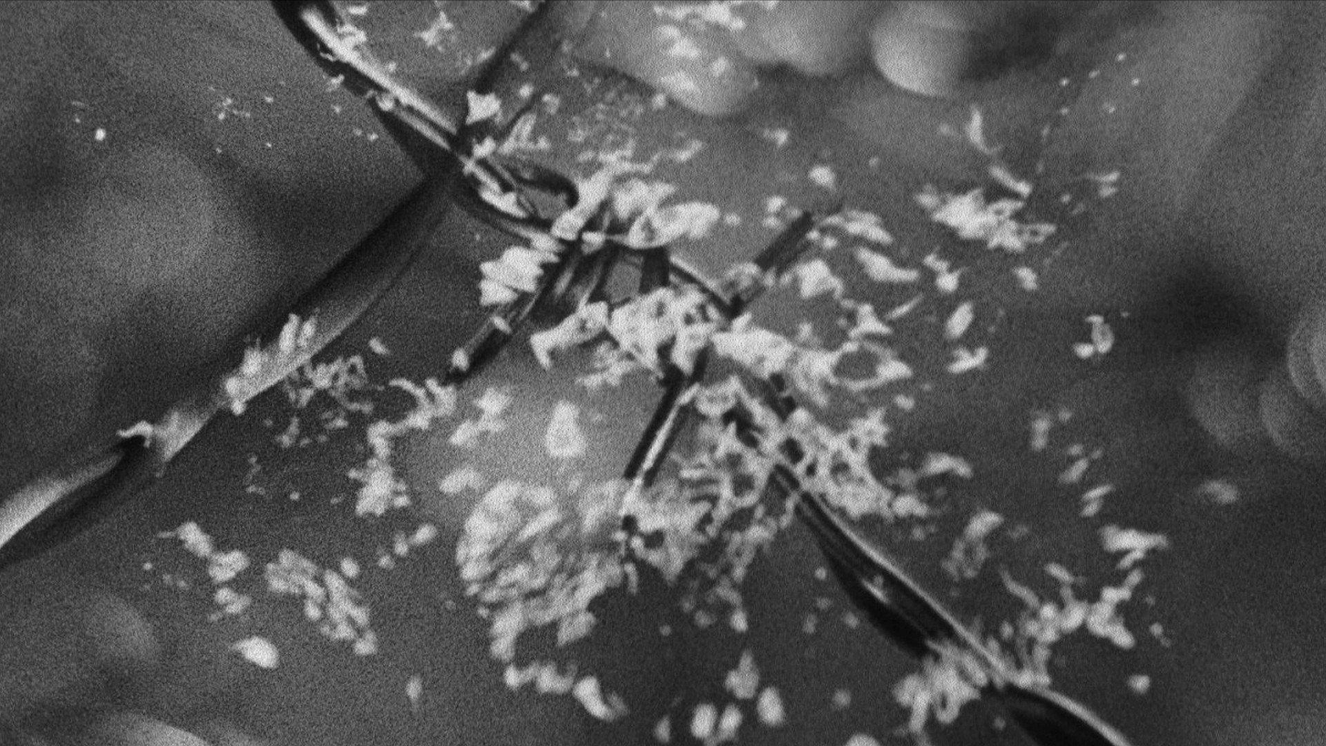 EVE 2002 movie scene