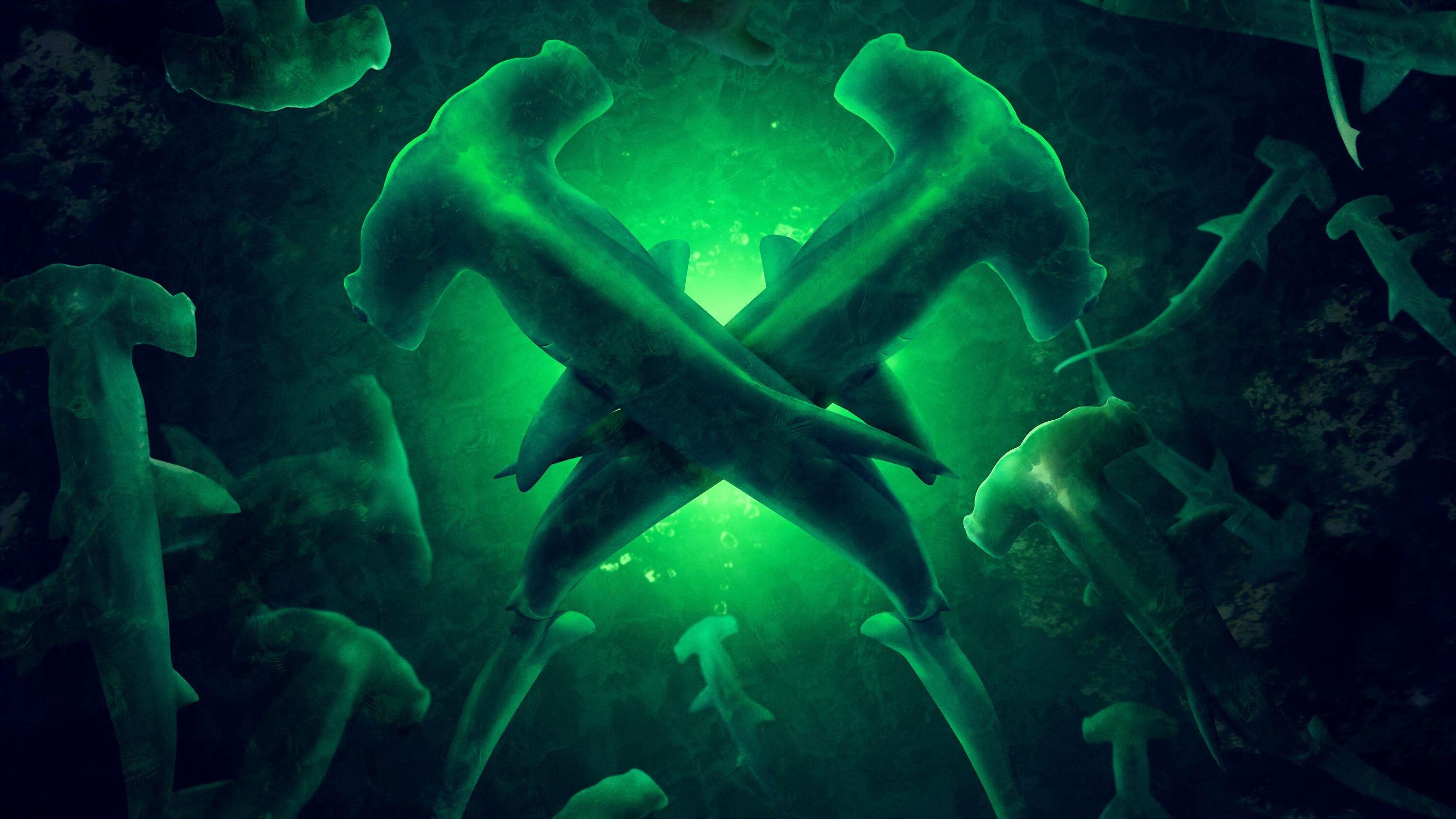 Monster Hammerheads: Species X 2024 movie scene