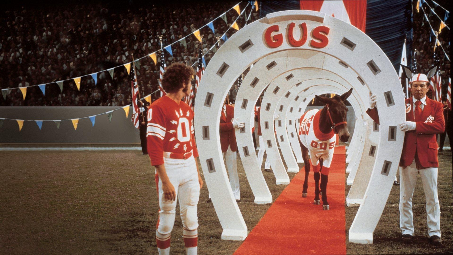 Gus 1976 movie scene
