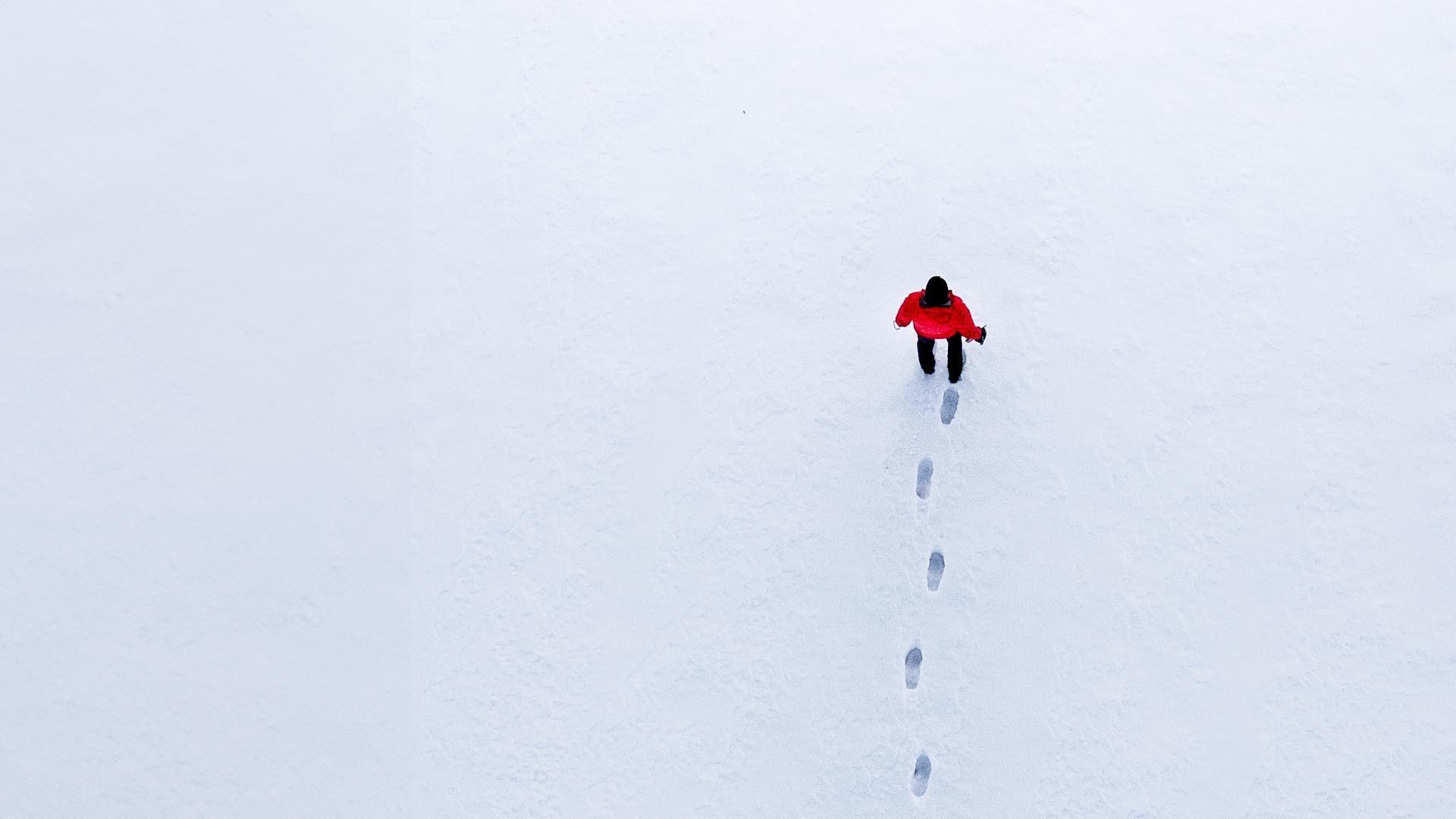 Footsteps in the Snow 2014 movie scene