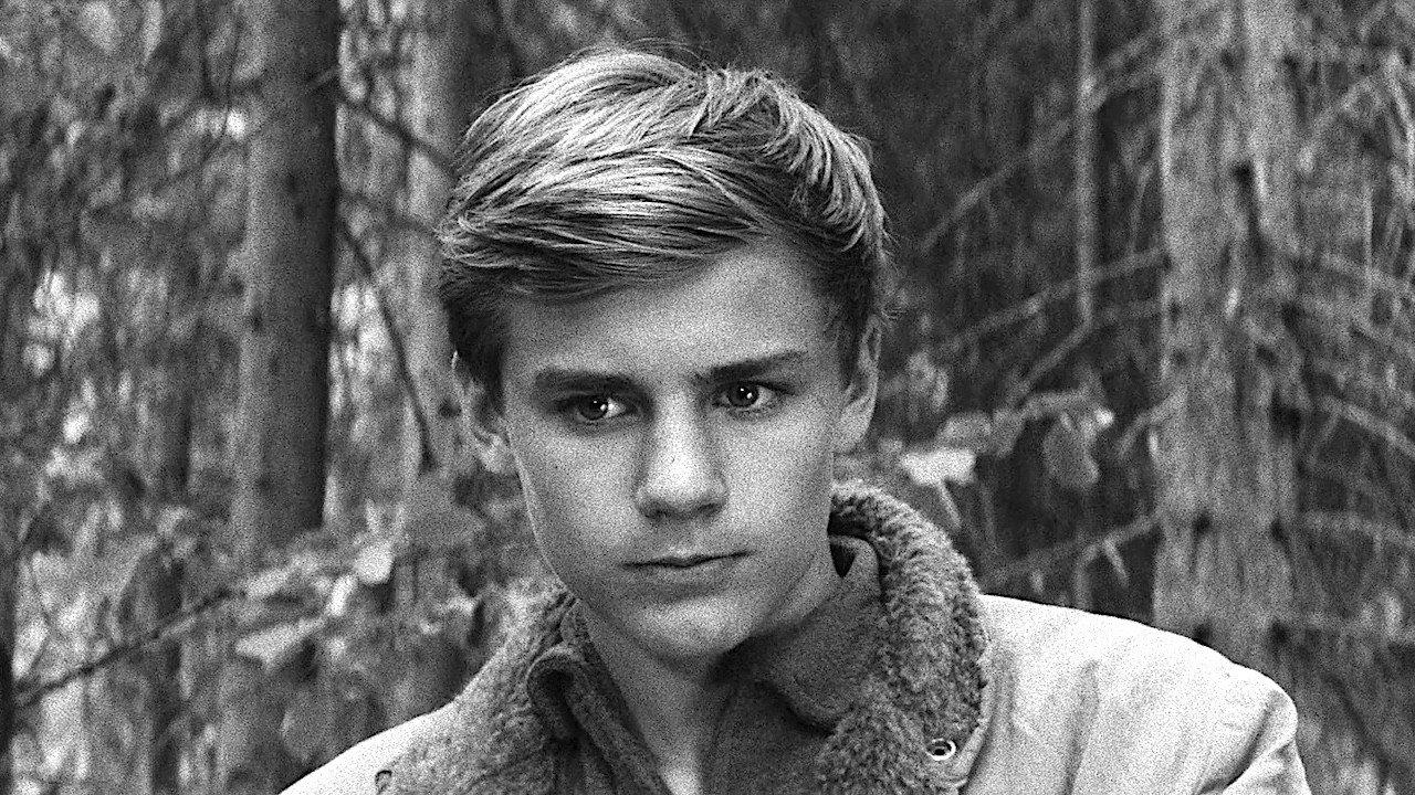 The Boy in the Tree 1961 movie scene