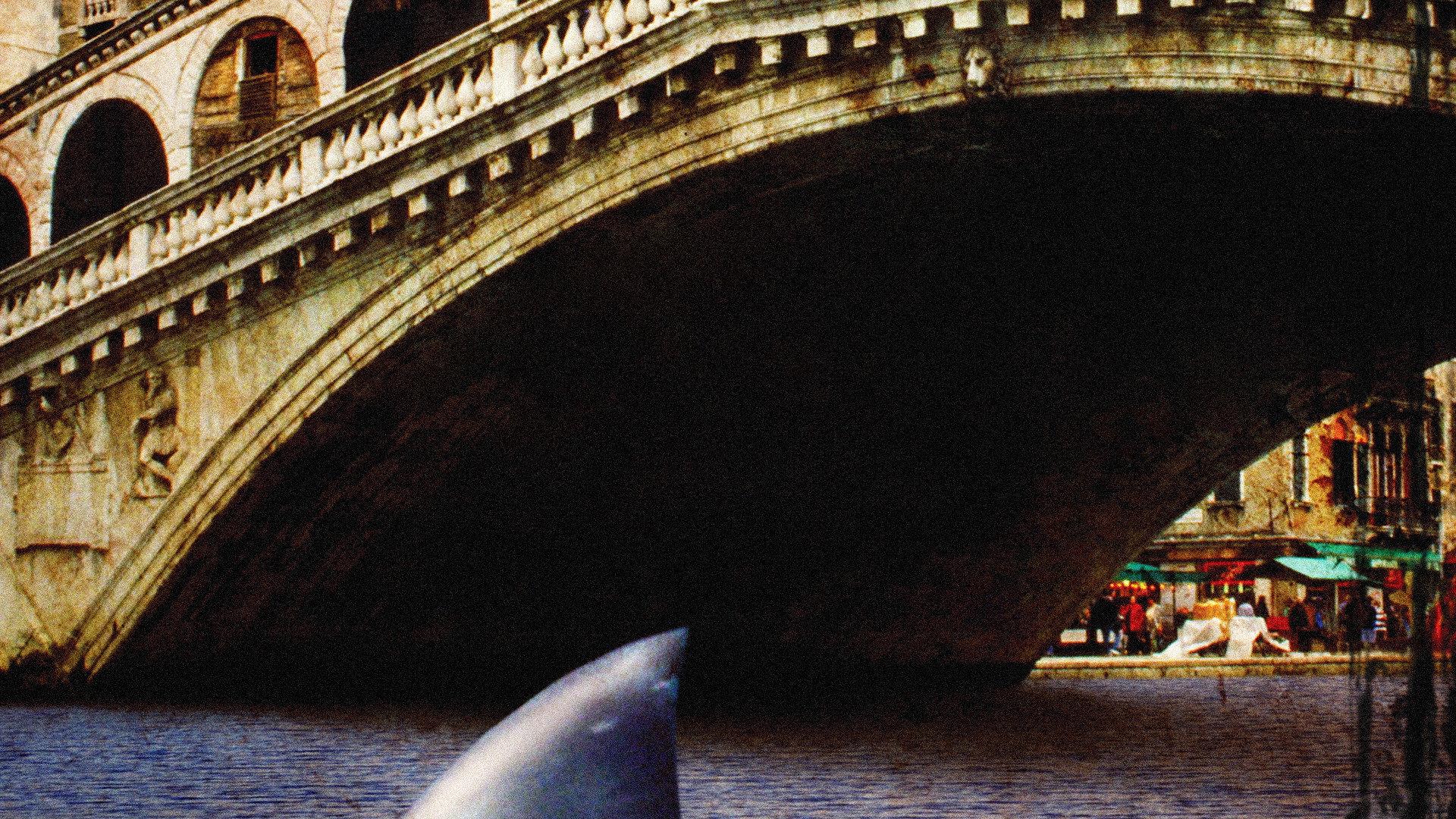Sharks in Venice 2008 movie scene