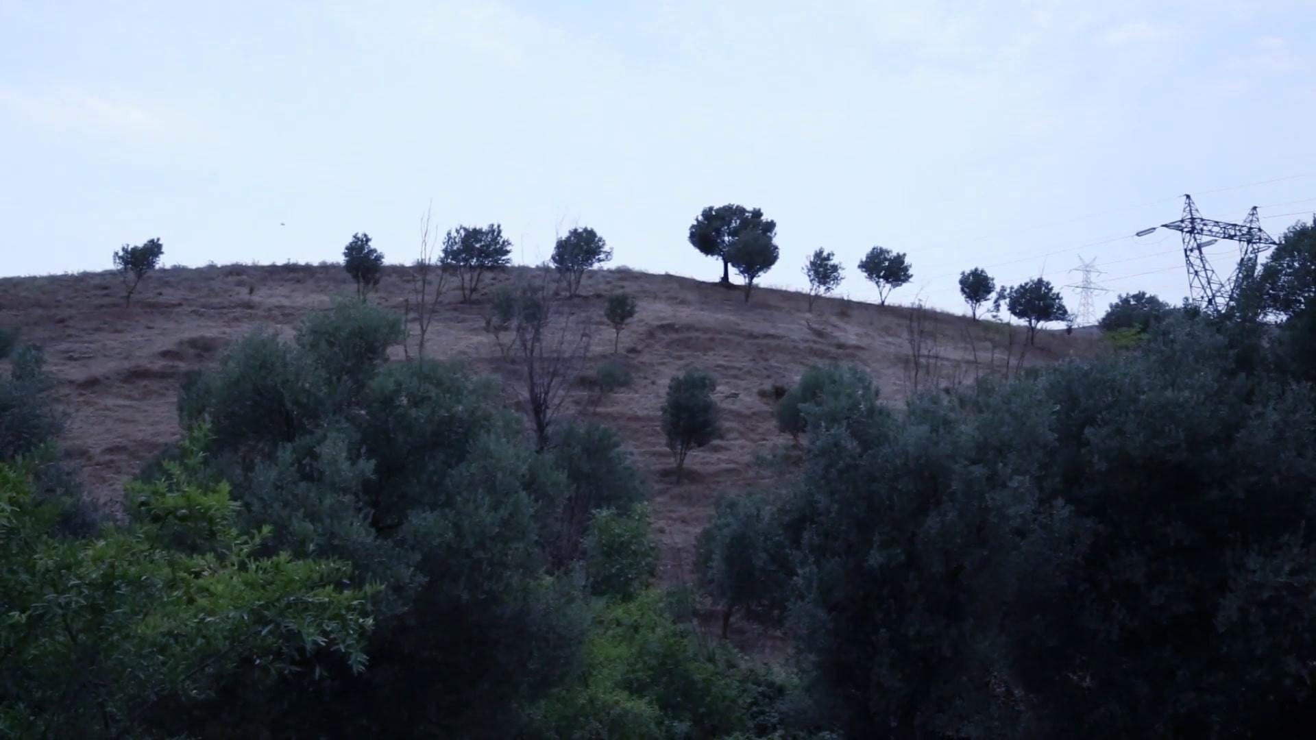 And Kiarostami Goes On 2018 movie scene