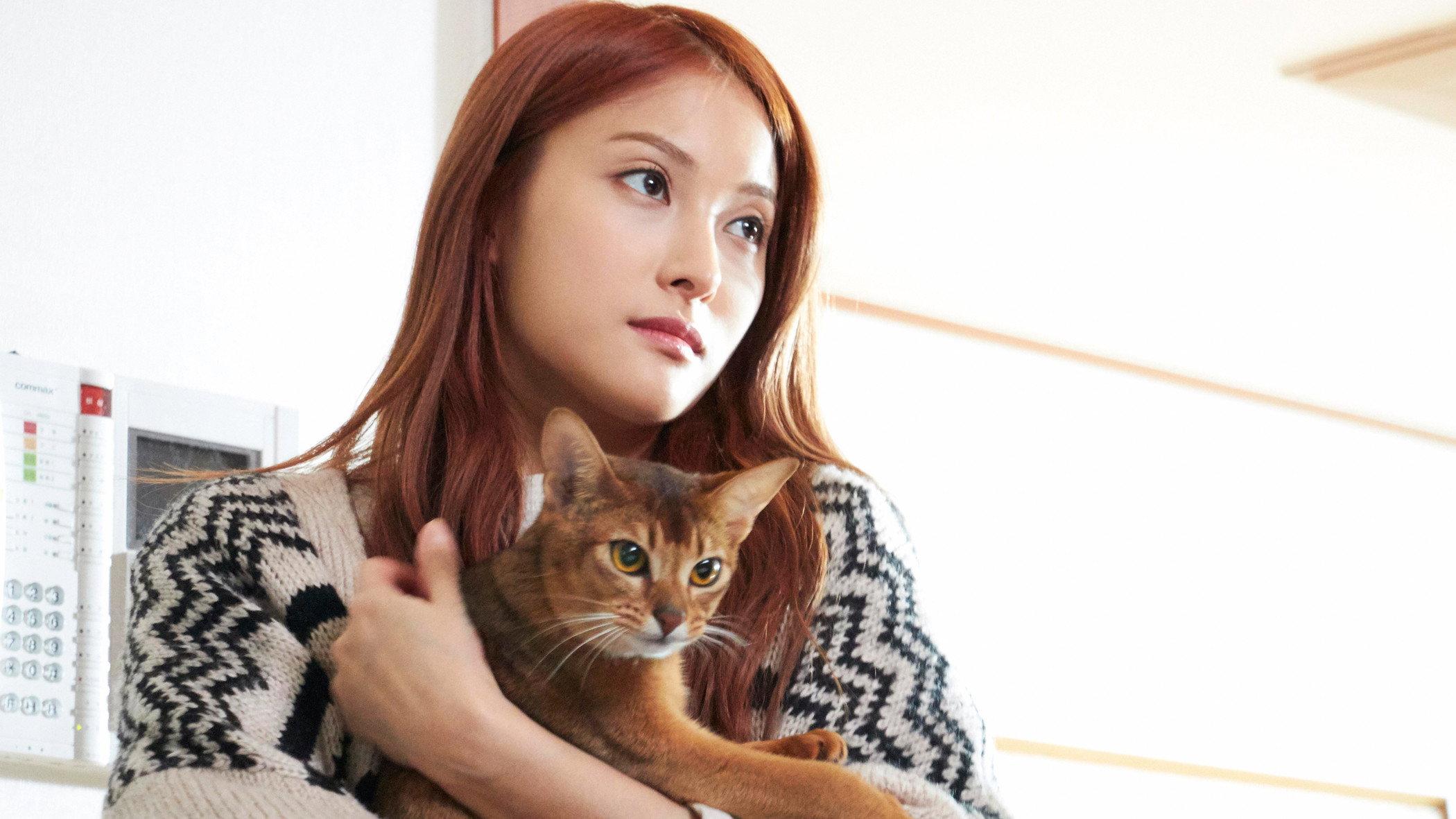 How to Break up with My Cat 2016 movie scene