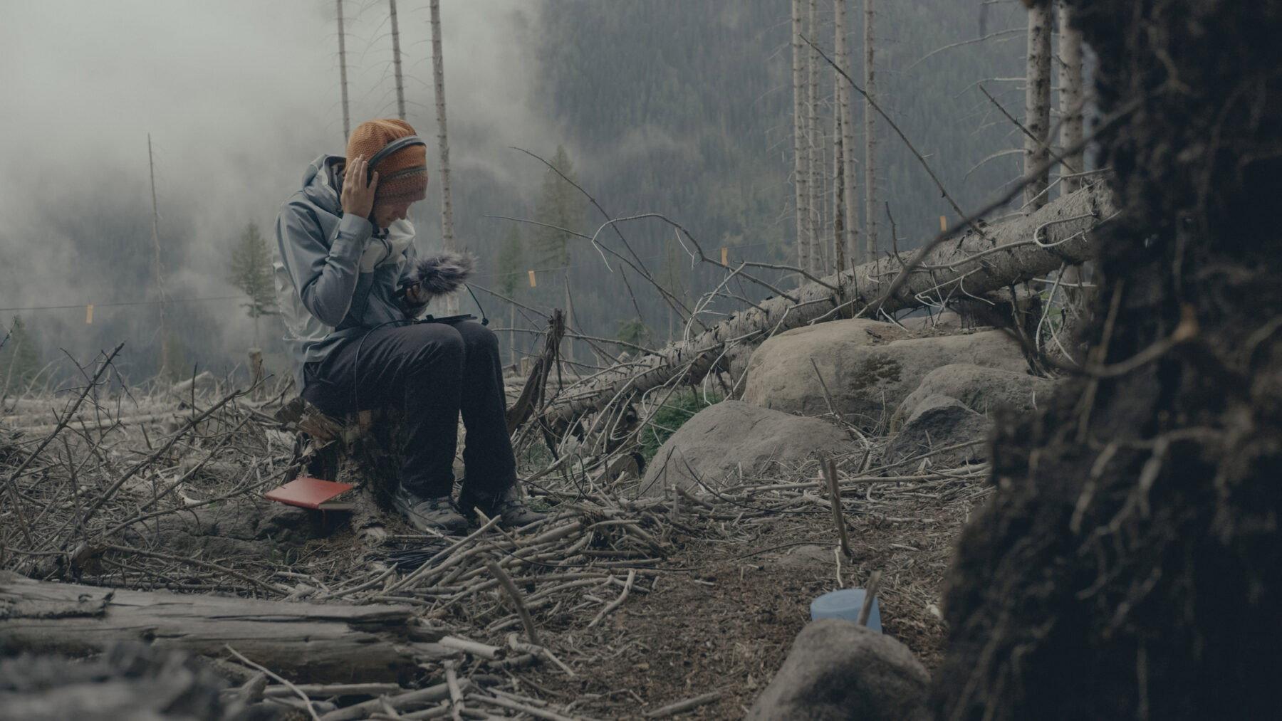 The Forest Code 2025 movie scene