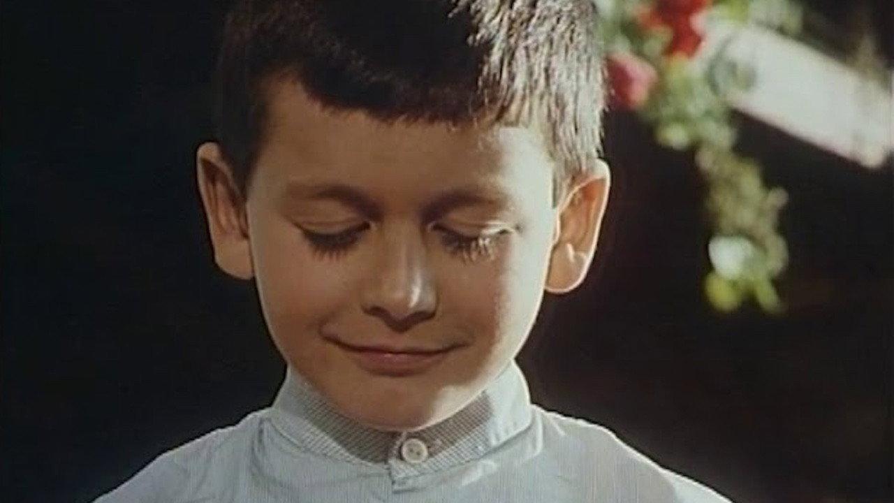 Eu, o tolo 1978 movie scene