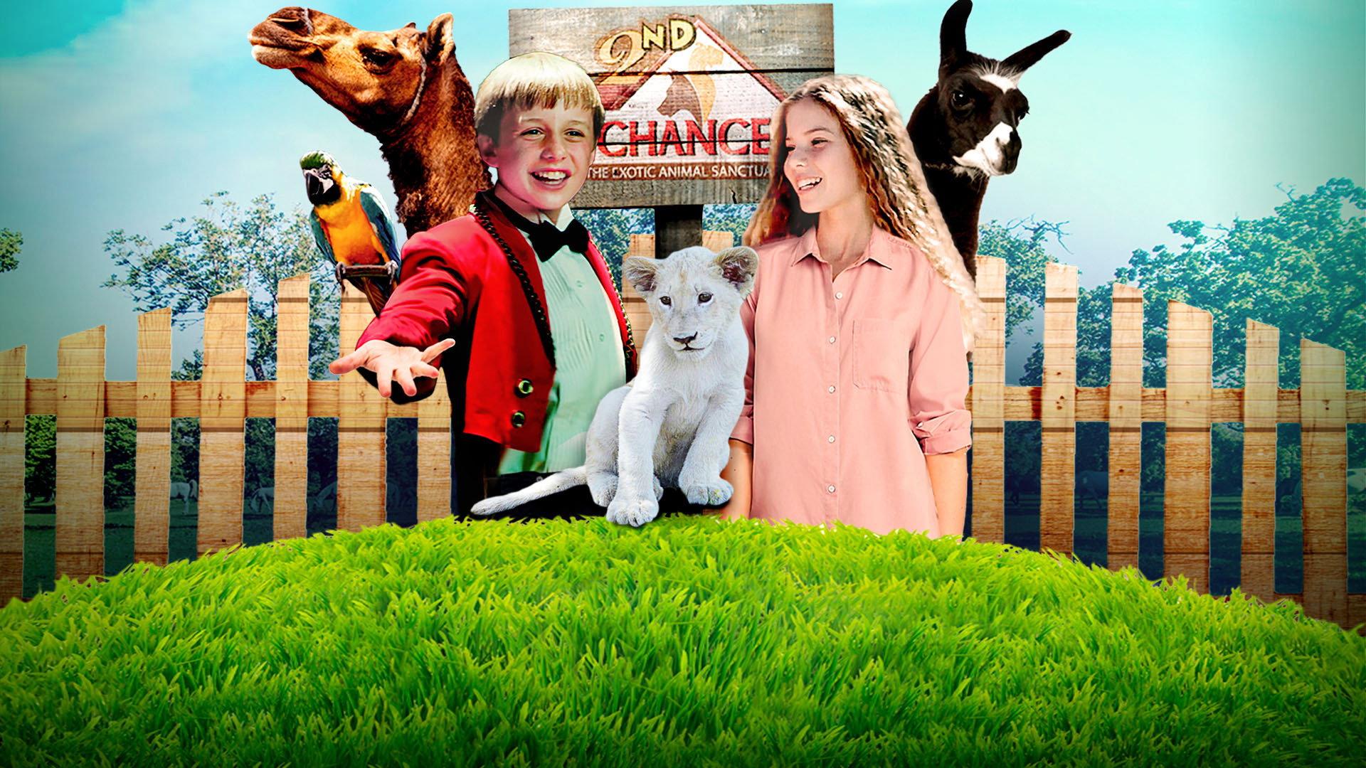 Jimmy's Jungle 2020 movie scene