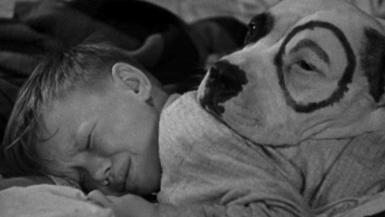 Dogs Is Dogs 1931 movie scene