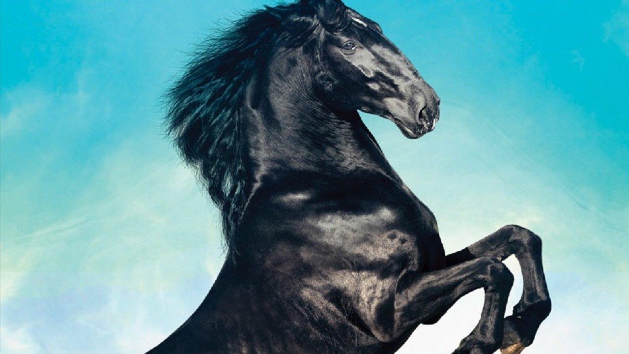 Black Beauty 2015 movie scene