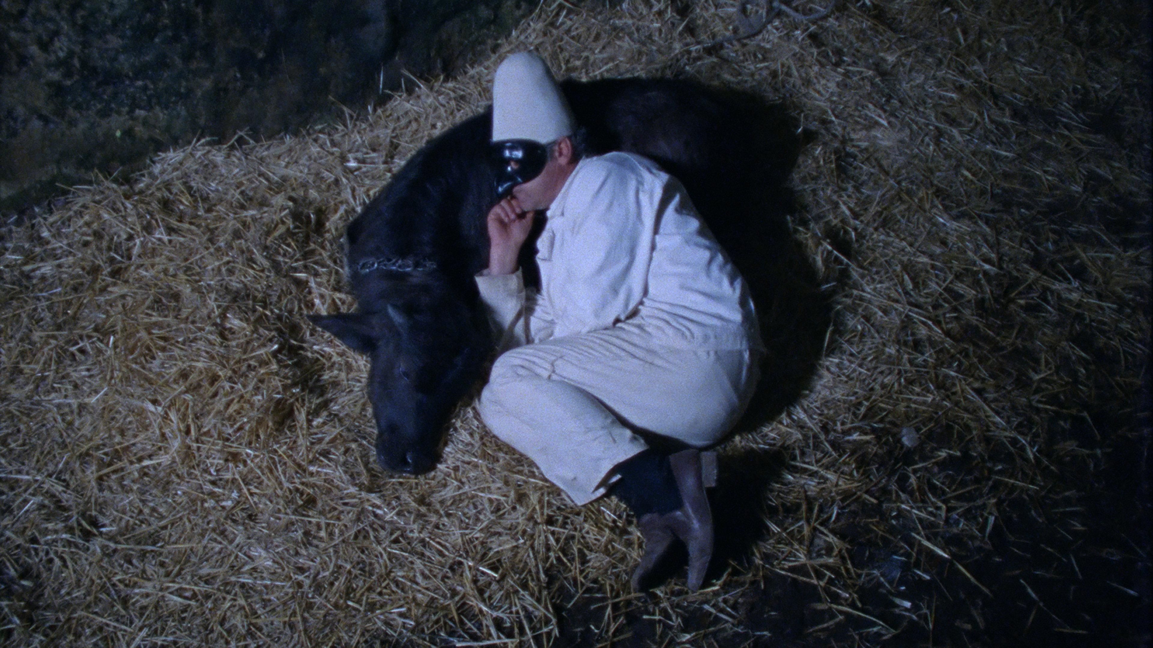 Lost and Beautiful 2015 movie scene