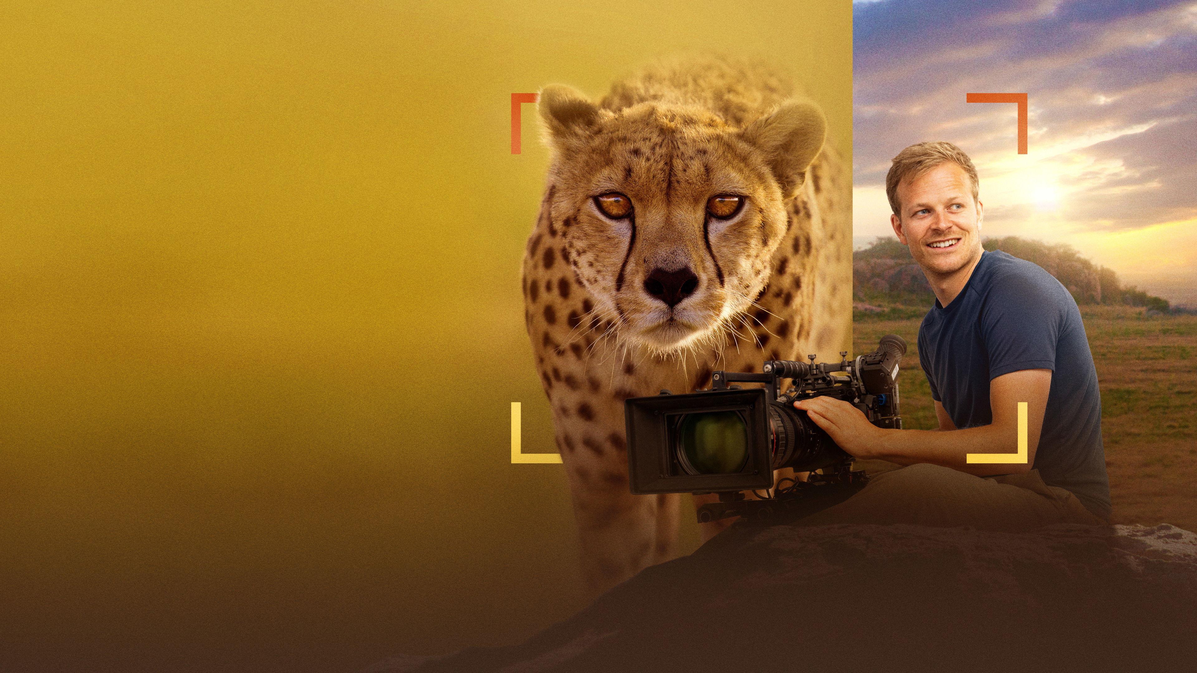 Cheetahs Up Close with Bertie Gregory 2026 movie scene