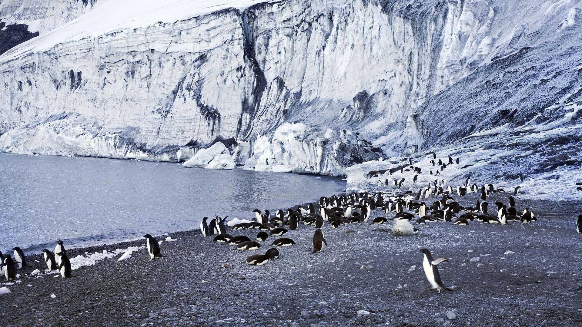 Antarctica: The Frozen Time 2021 movie scene