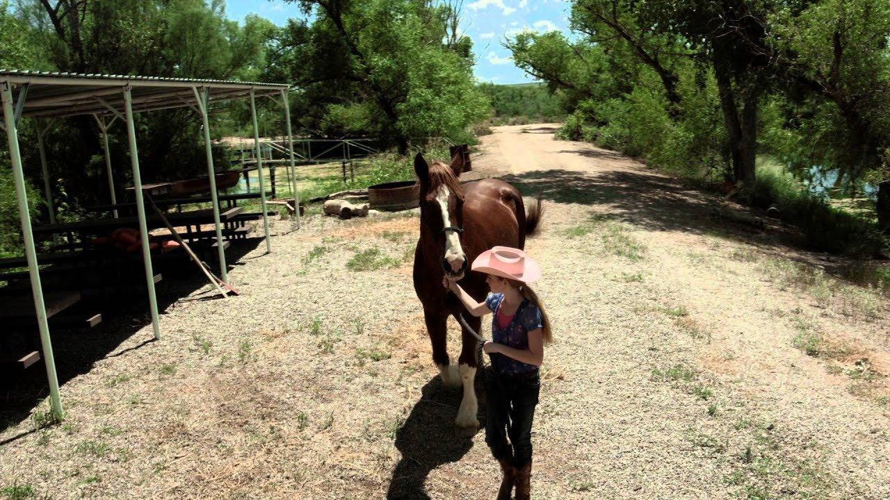 A Horse Story 2015 movie scene