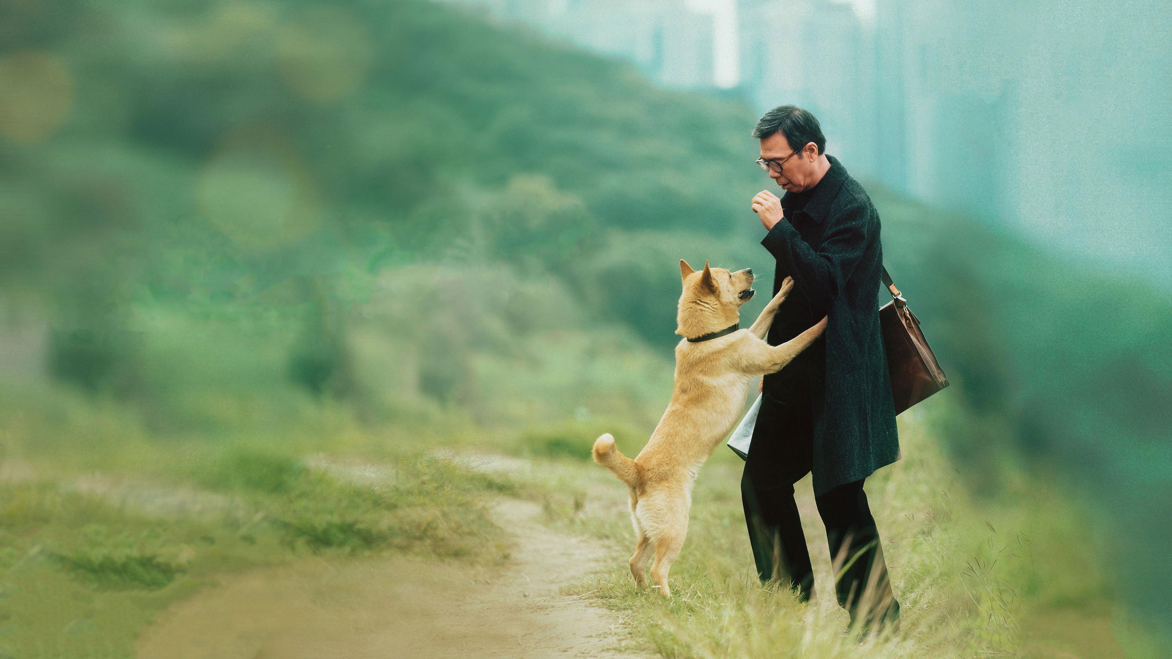 Hachiko 2023 movie scene