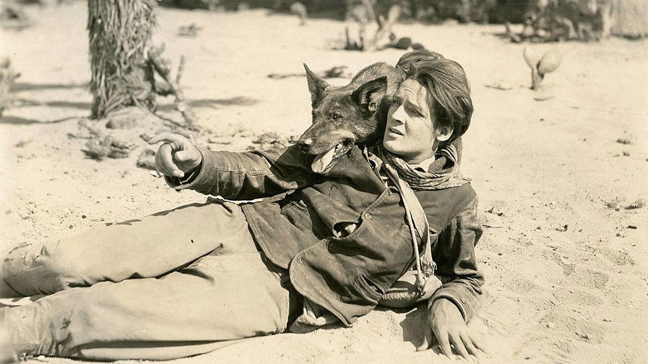 Clash of the Wolves 1925 movie scene