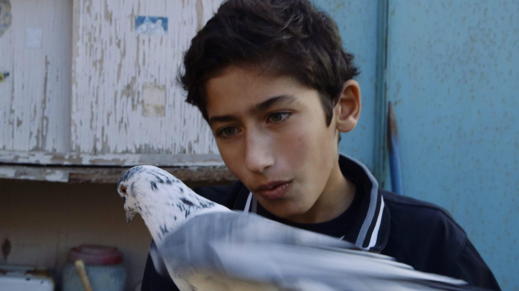 Bird Boy 2019 movie scene