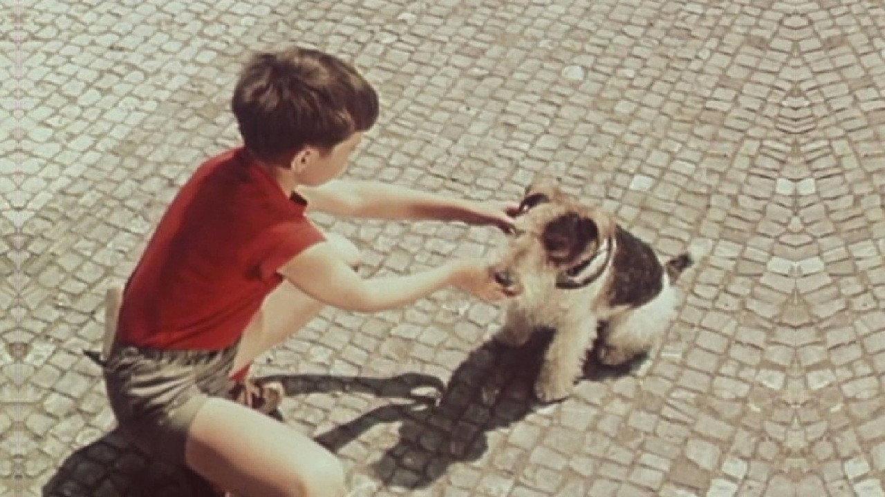 Punta and the Four-Leaf Clover 1955 movie scene