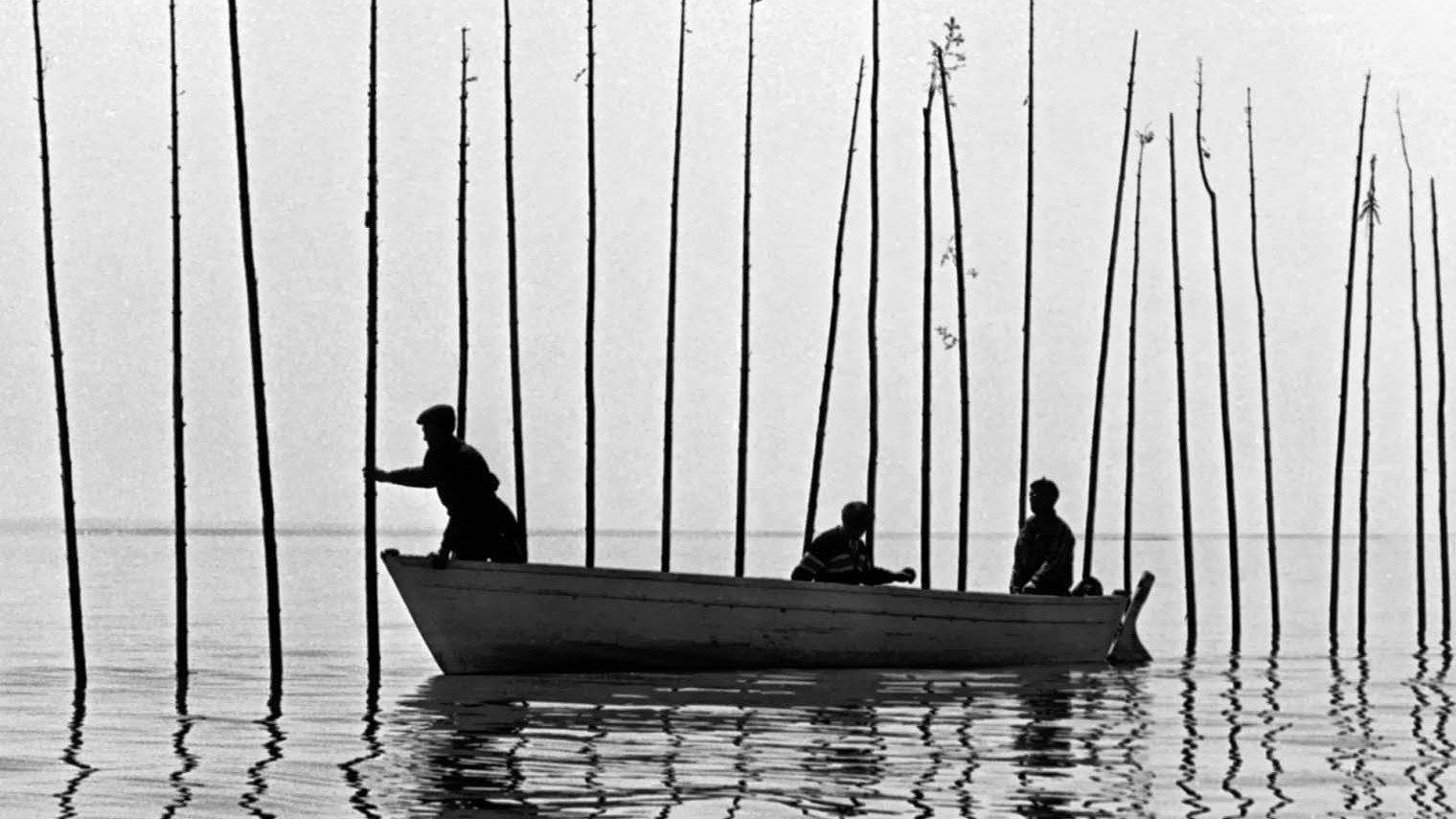 Of Whales, the Moon, and Men 1963 movie scene