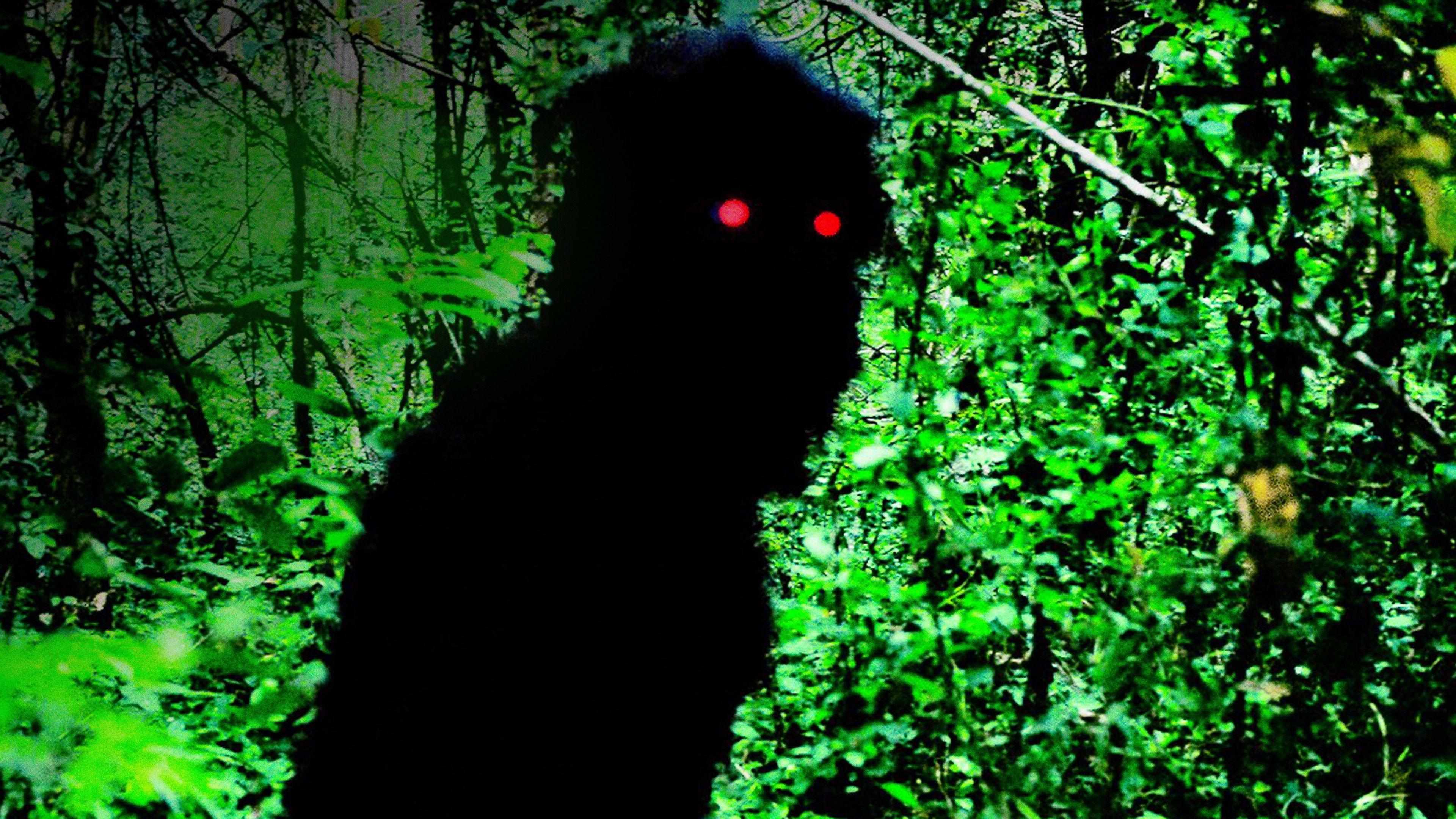 Uncle Boonmee Who Can Recall His Past Lives 2010 movie scene