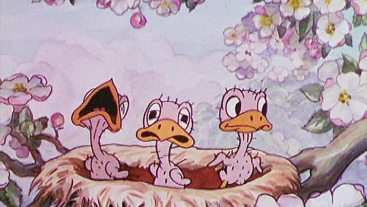 Birds in the Spring 1933 movie scene