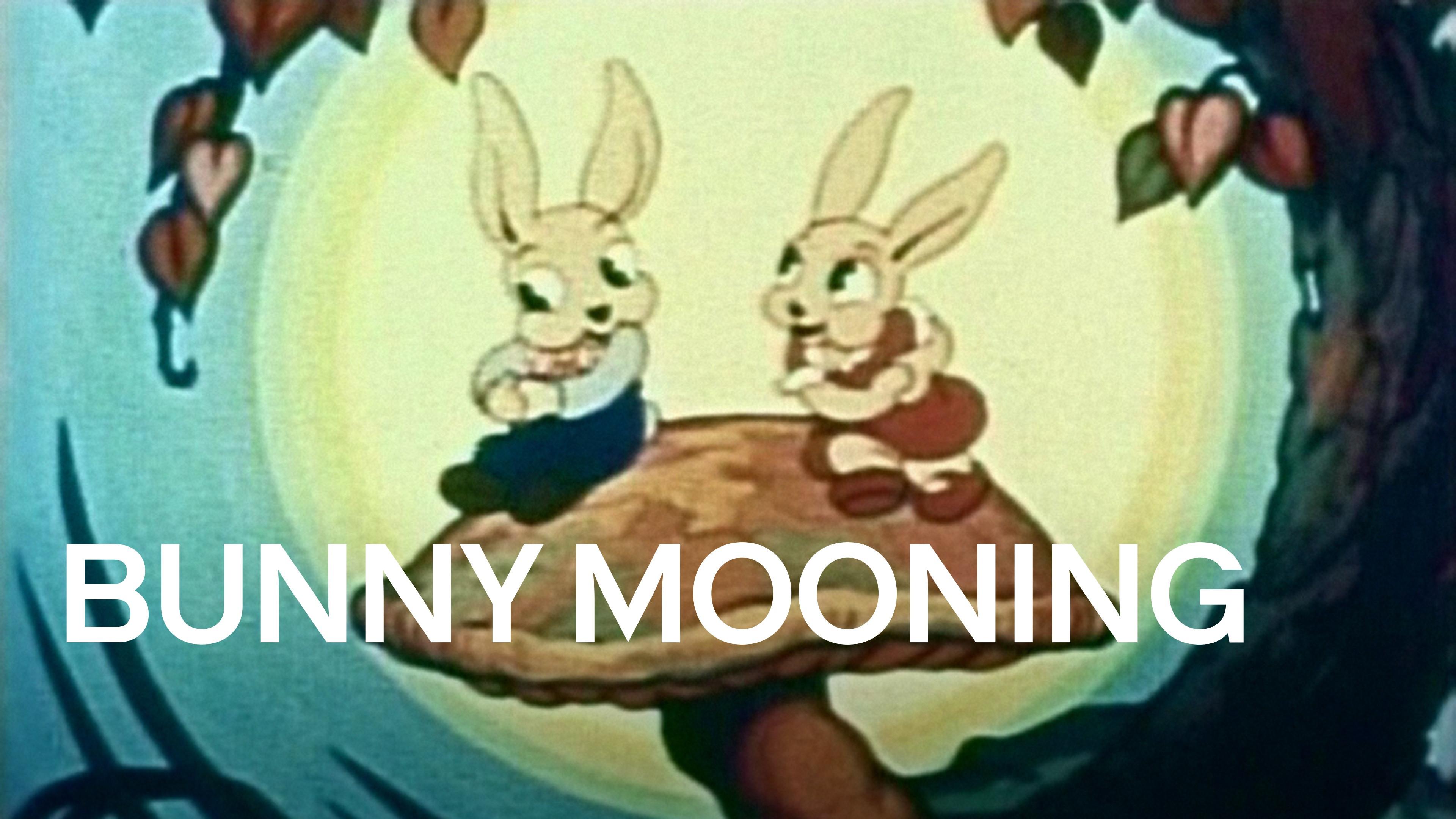 Bunny Mooning 1937 movie scene