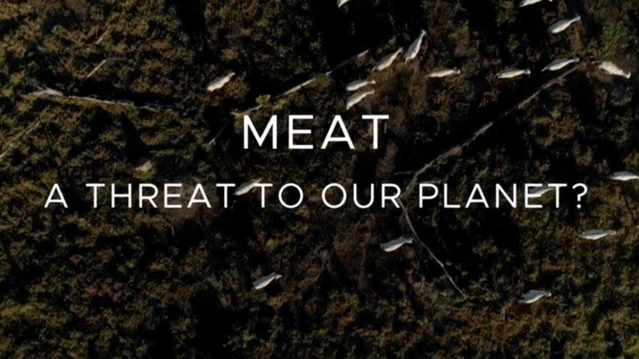 Meat: A Threat to Our Planet 2019 movie scene