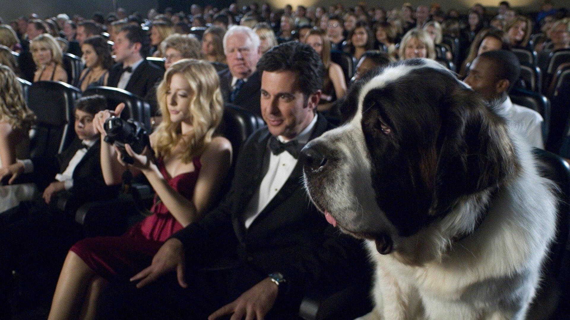 Beethoven's Big Break 2008 movie scene