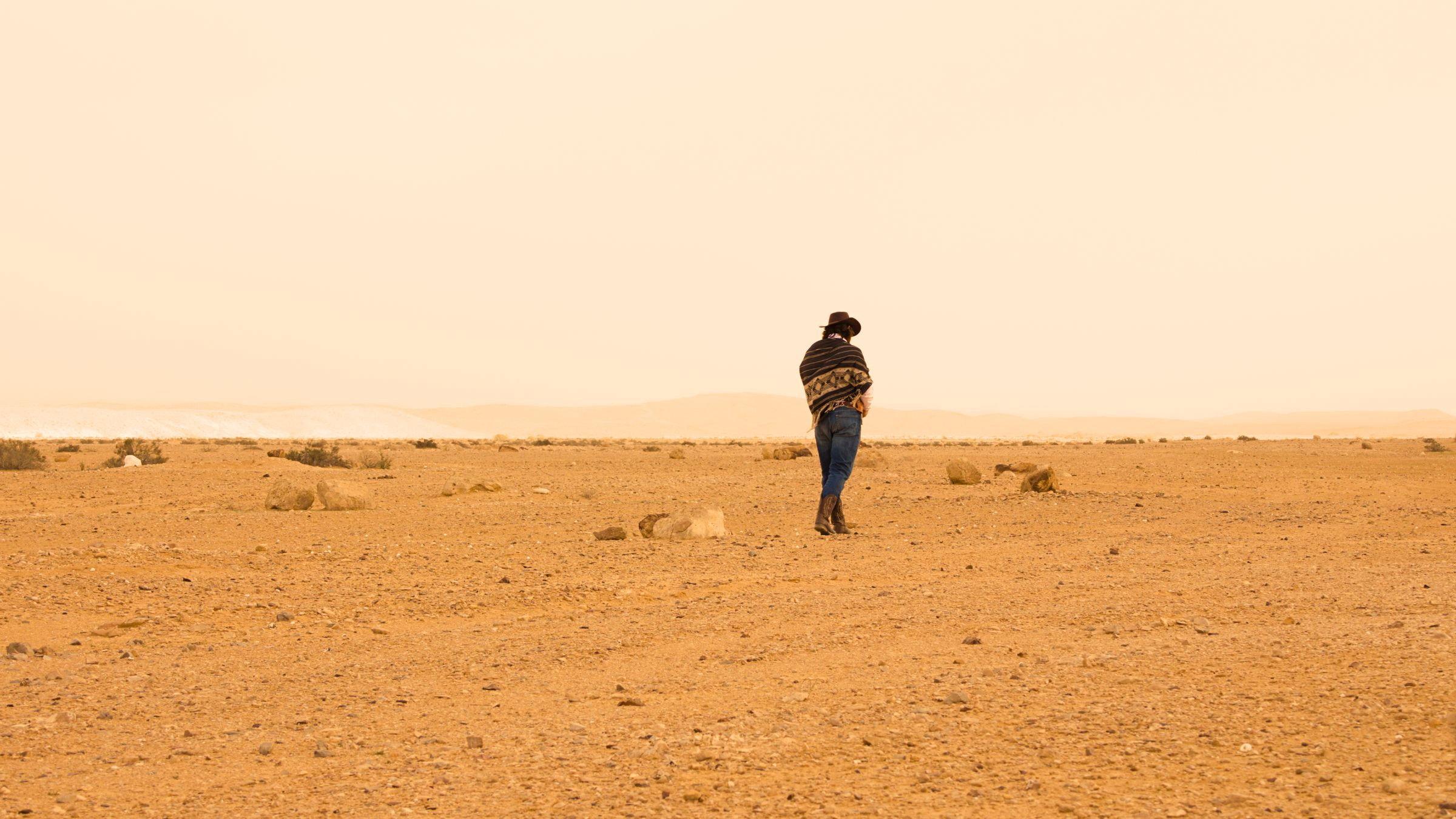 Dust to Dusk 2026 movie scene