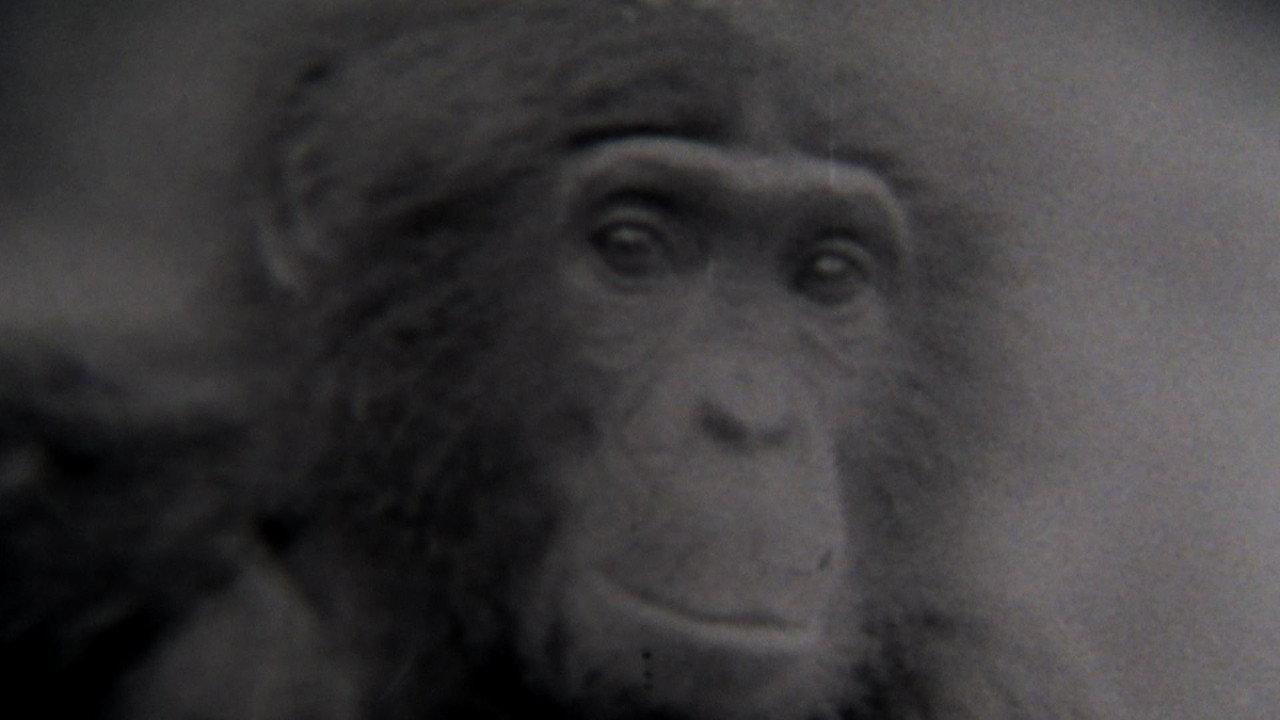 Second Nature 2014 movie scene