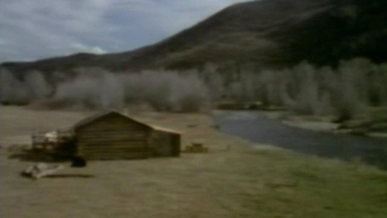 In Search of a Golden Sky 1984 movie scene