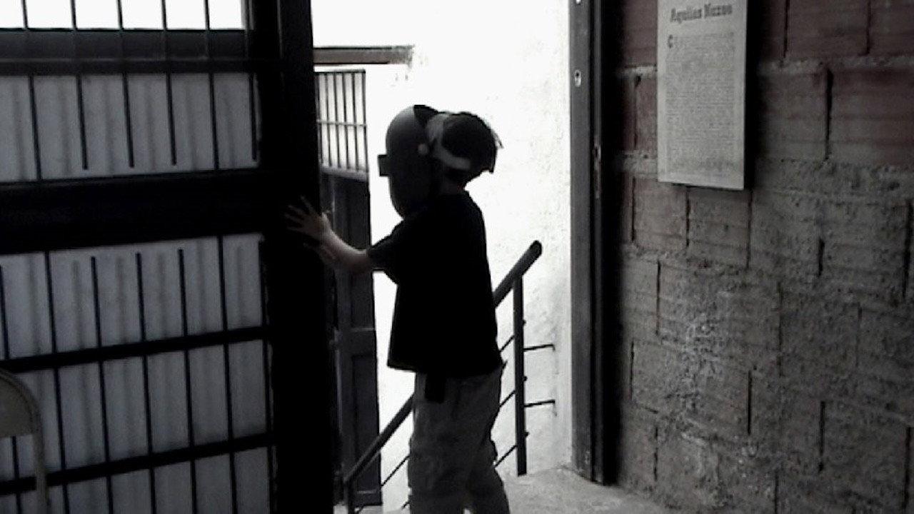 Color Runaway Dog 2011 movie scene