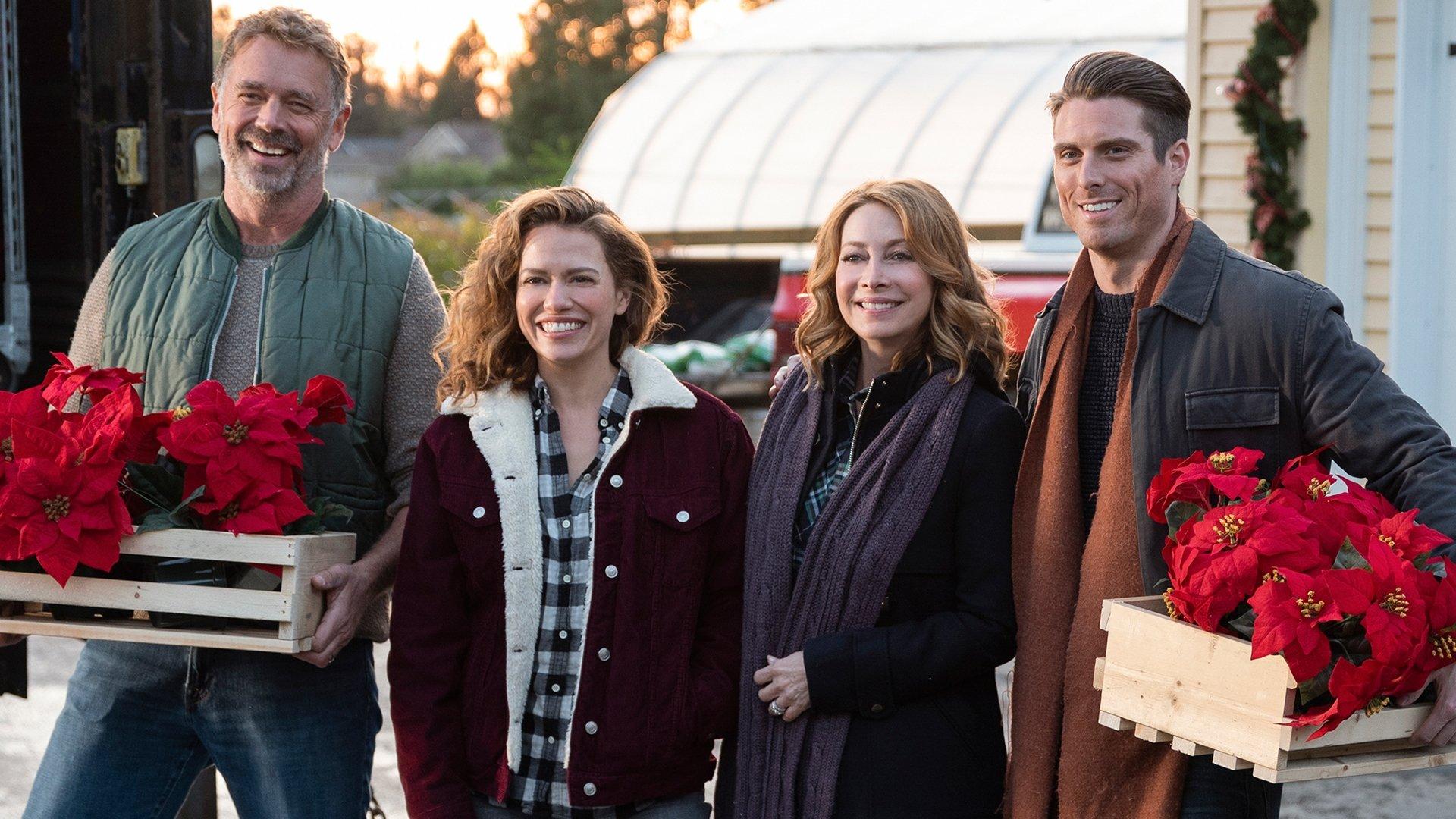 Poinsettias for Christmas 2018 movie scene