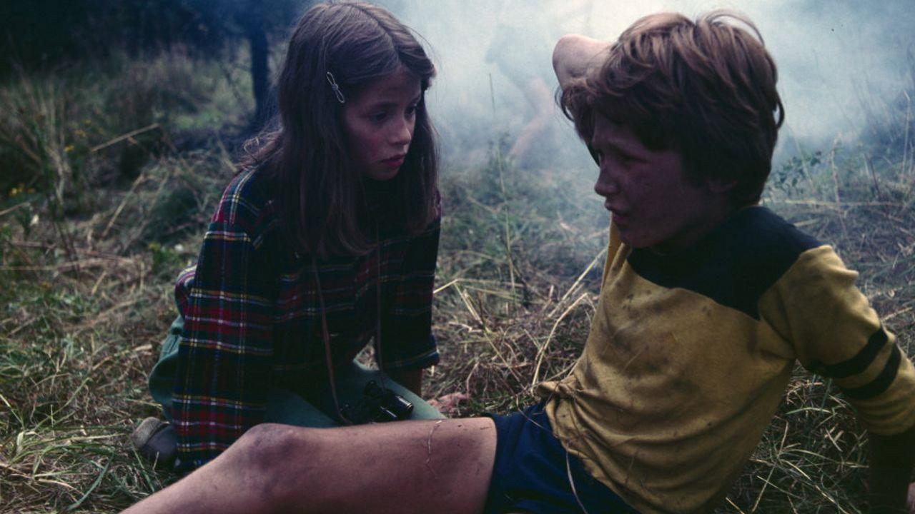 The Mystery of the Old Garden 1984 movie scene