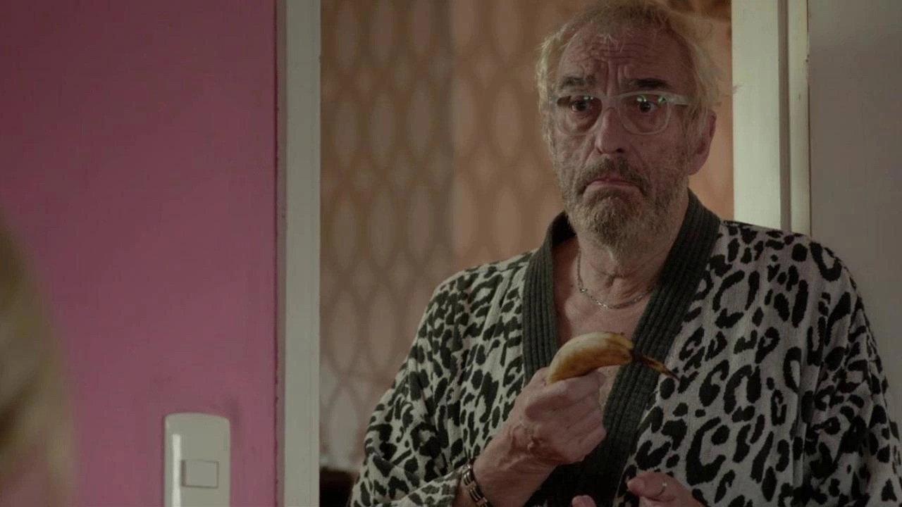 Dolphins Go East 2016 movie scene