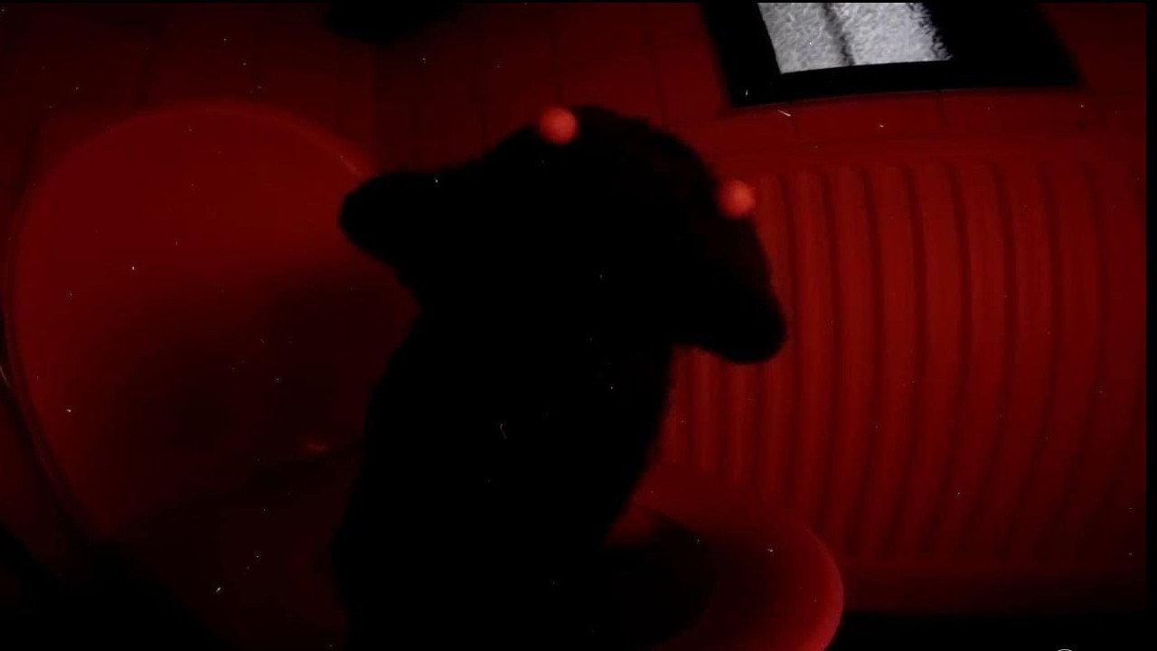 Shitters 2017 movie scene