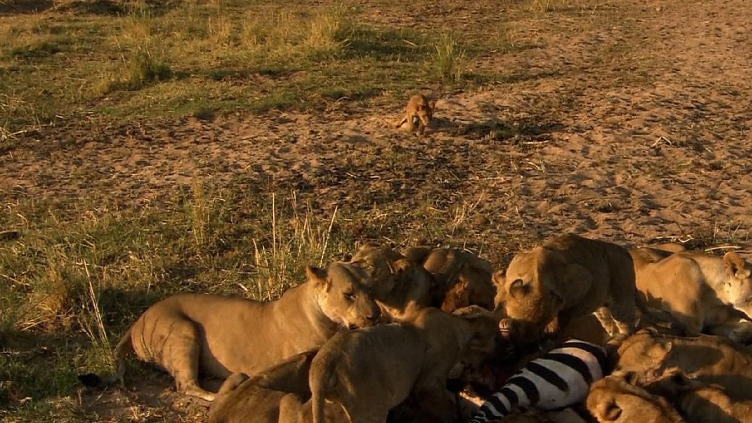 Surviving the Drought 2008 movie scene