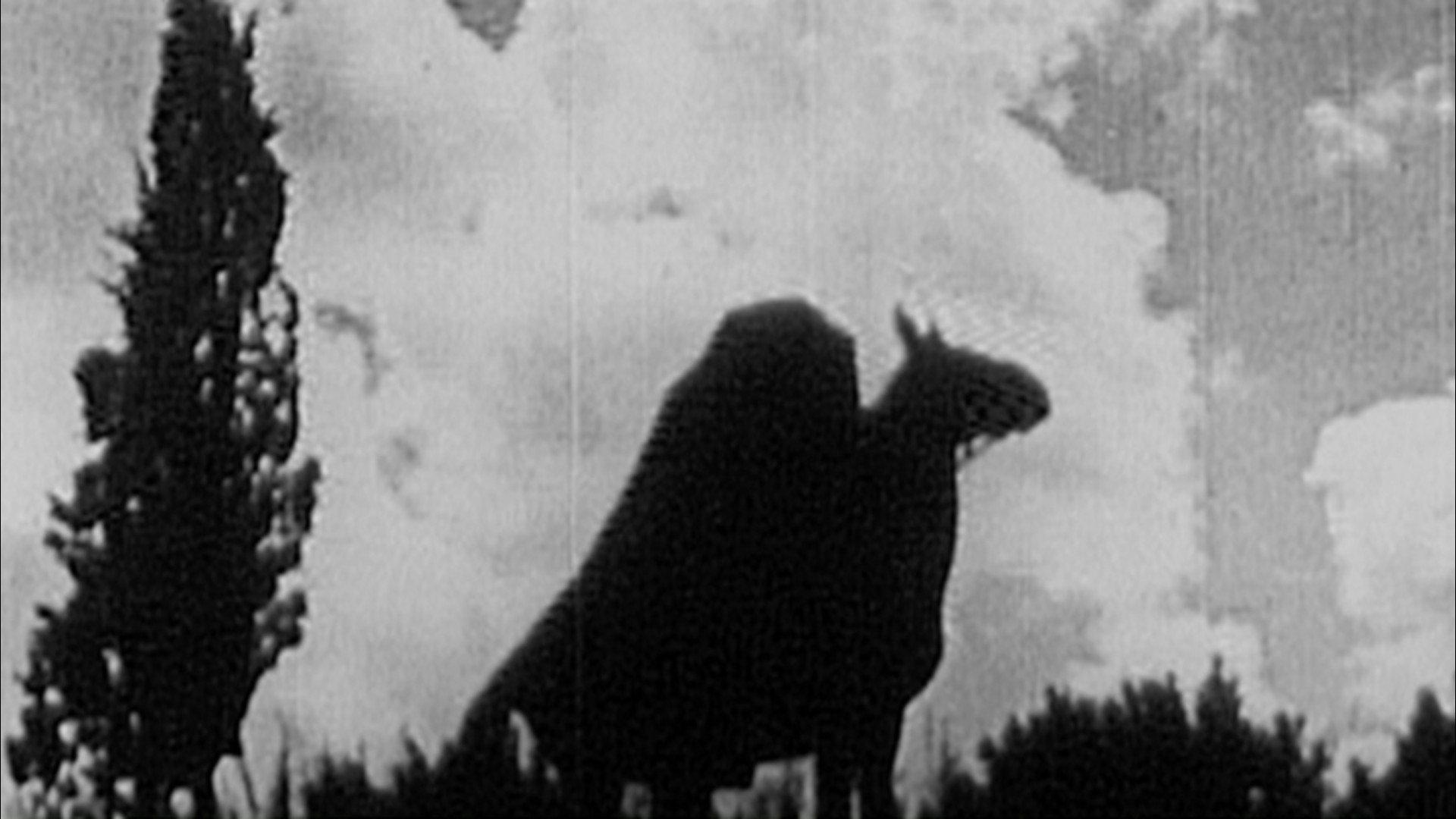 The Headless Horseman 1922 movie scene