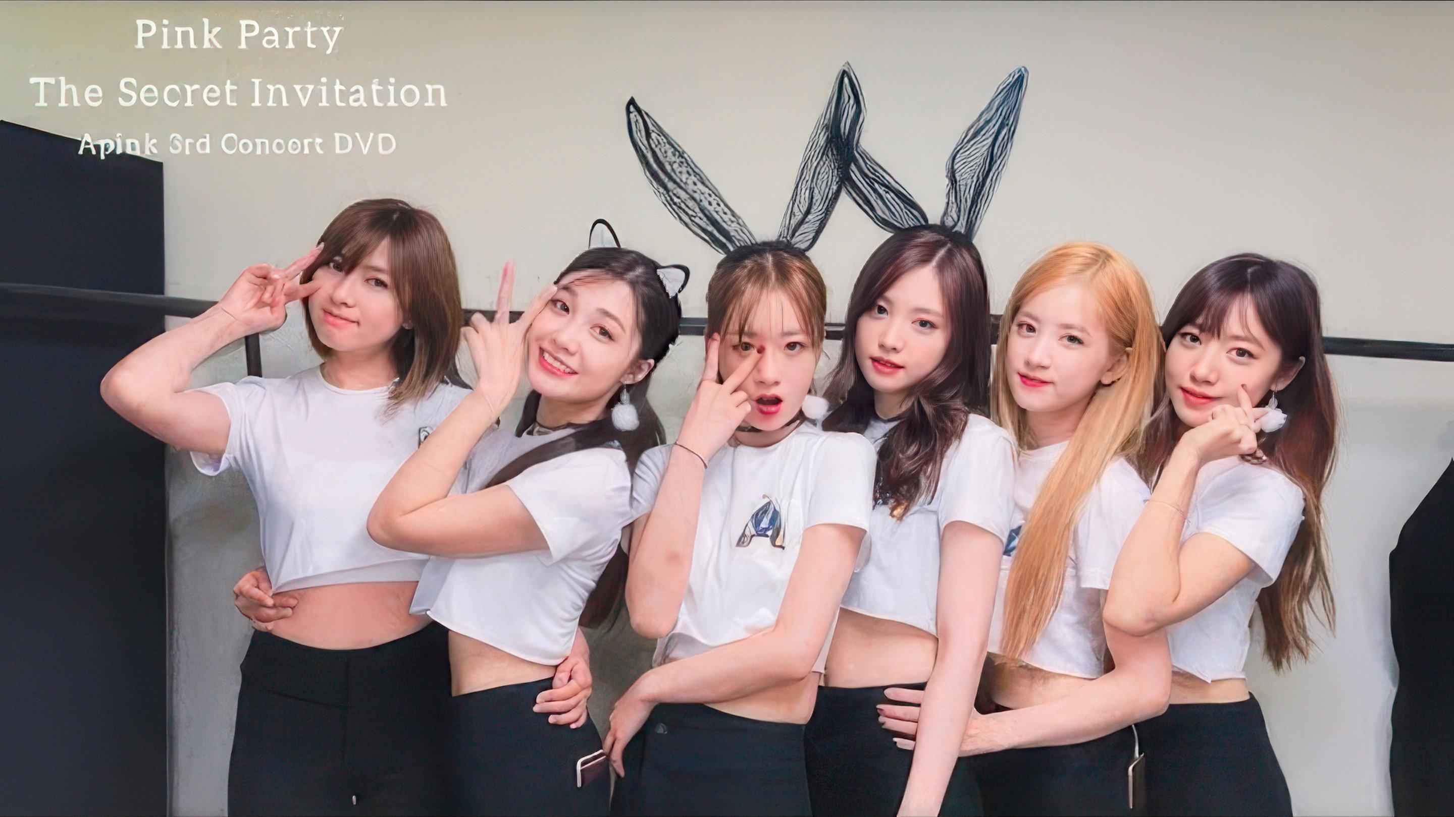 Apink 3rd Concert "Pink Party" 2017 movie scene