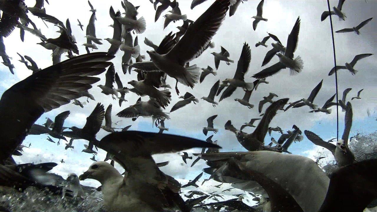 Leviathan 2013 movie scene