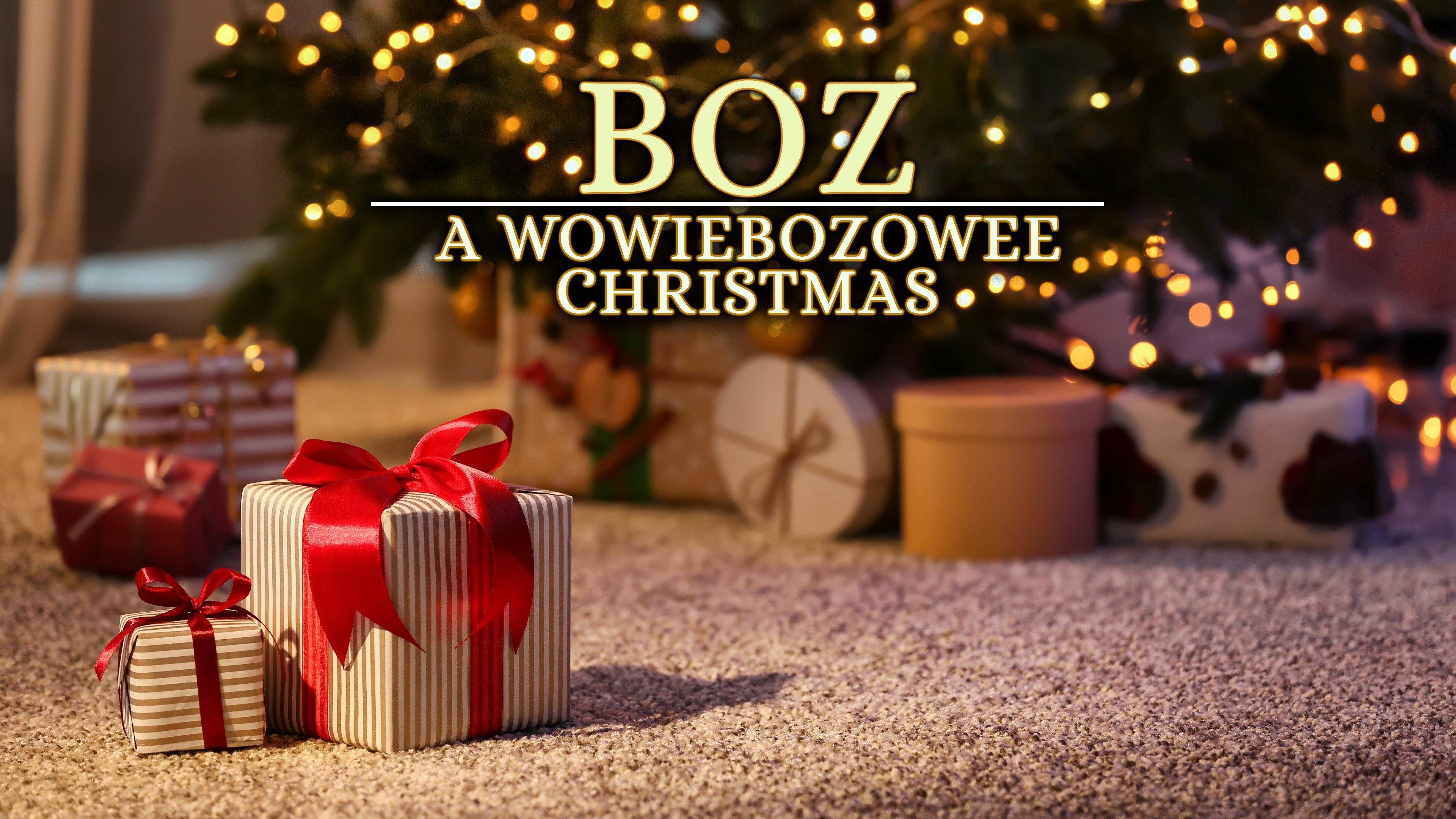 A WowieBozowee Christmas 2007 movie scene