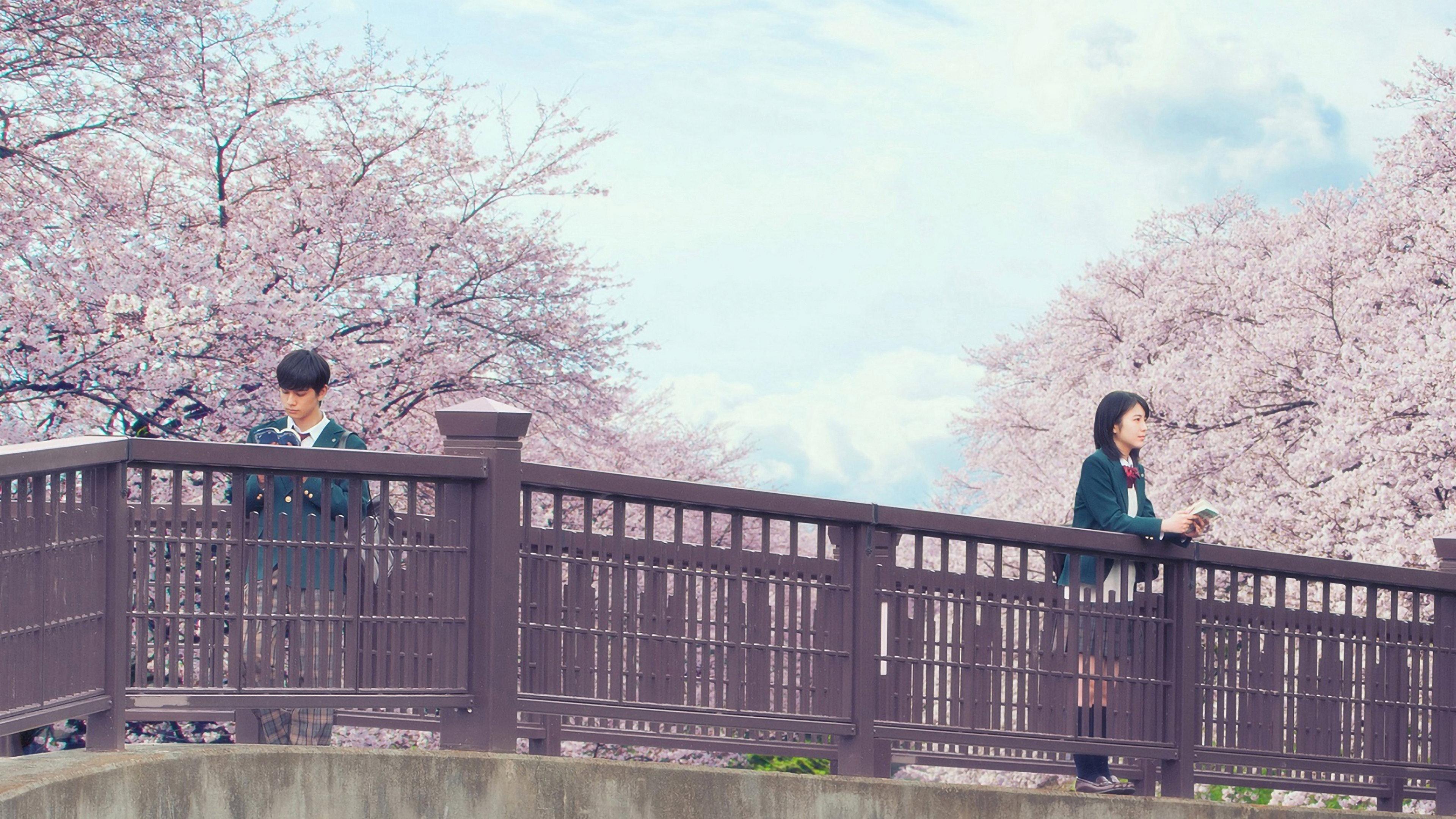 Let Me Eat Your Pancreas 2017 movie scene