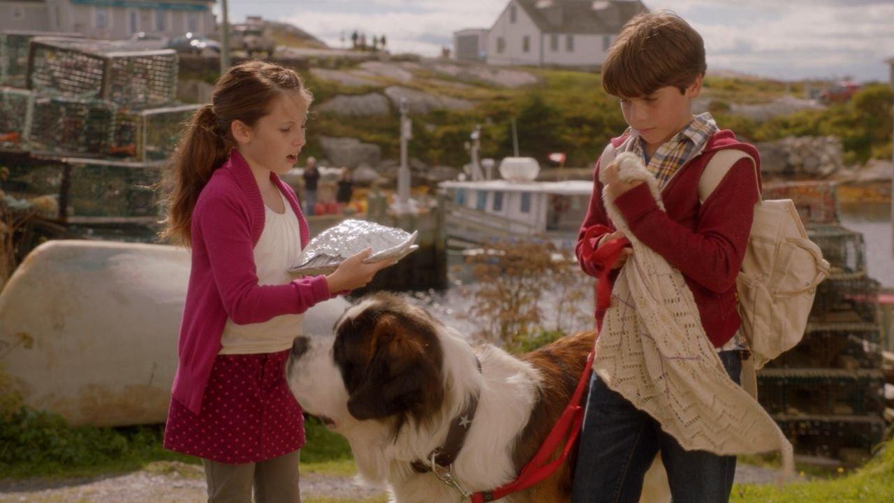 Beethoven's Treasure Tail 2014 movie scene