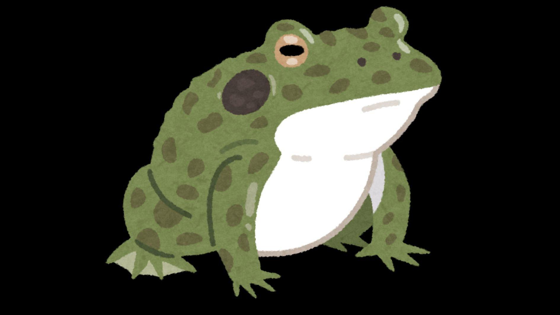 The boiling frog 2026 movie scene