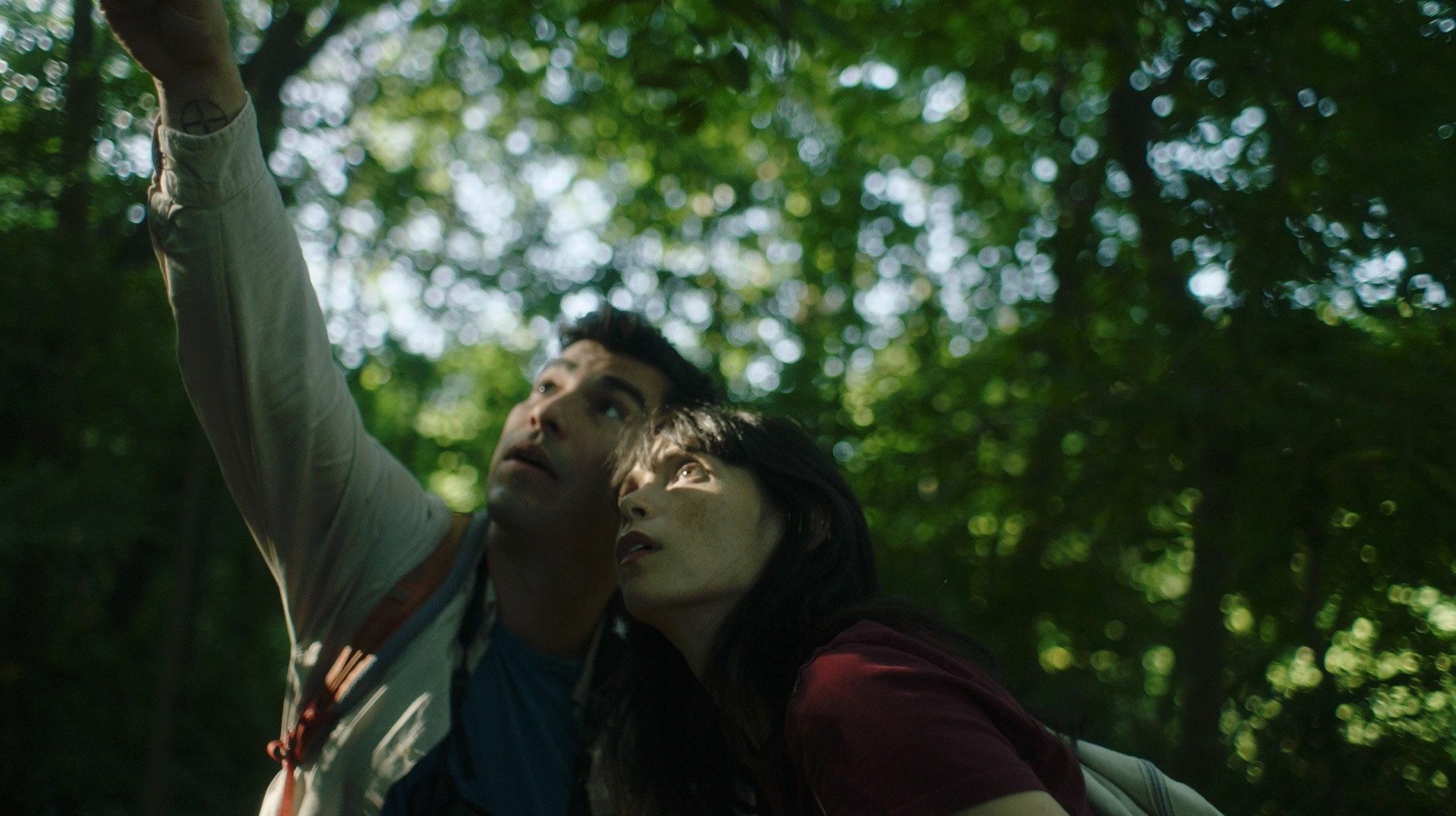 A Bird Came Down  movie scene