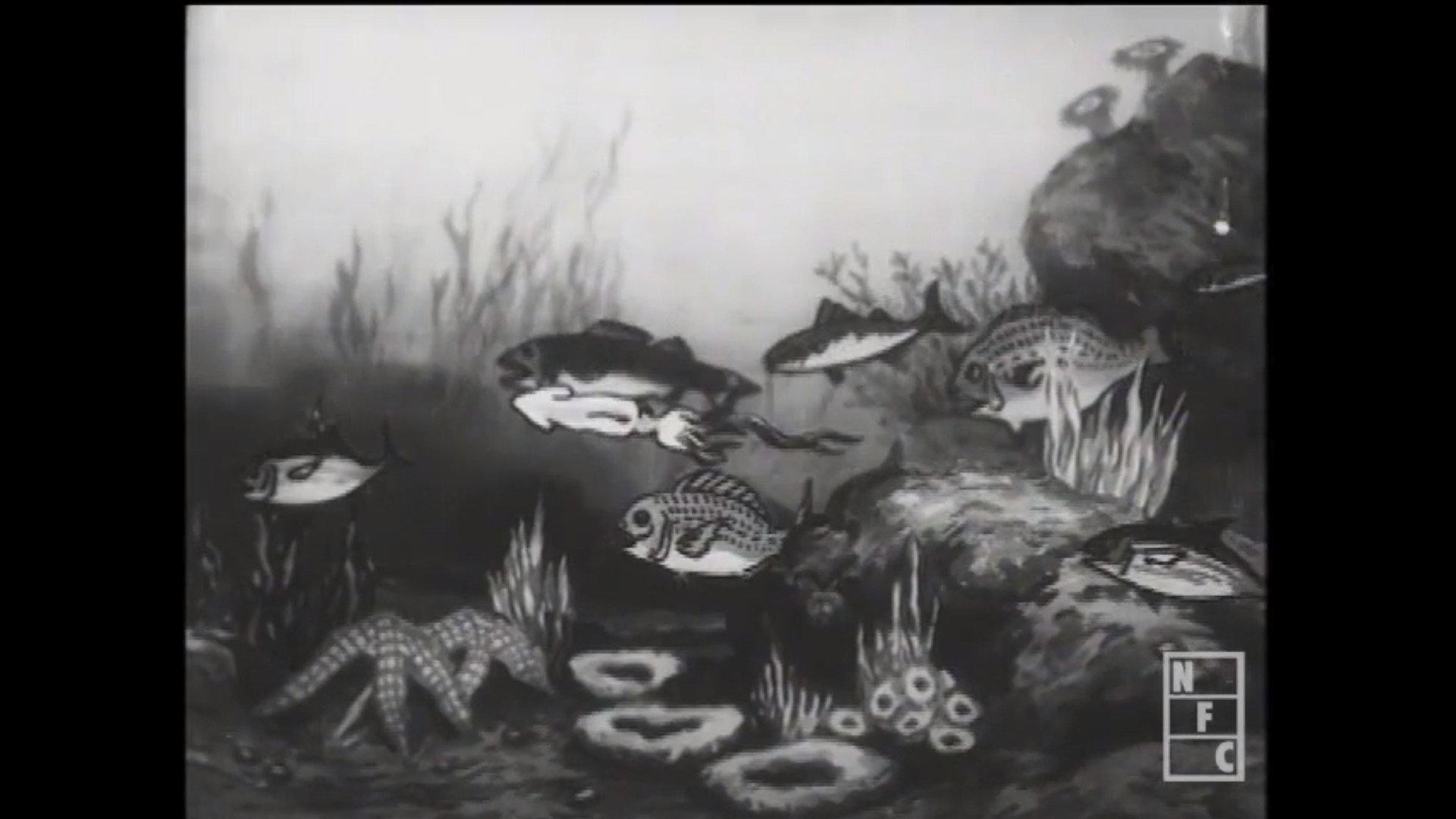The Nation of Fish 1928 movie scene
