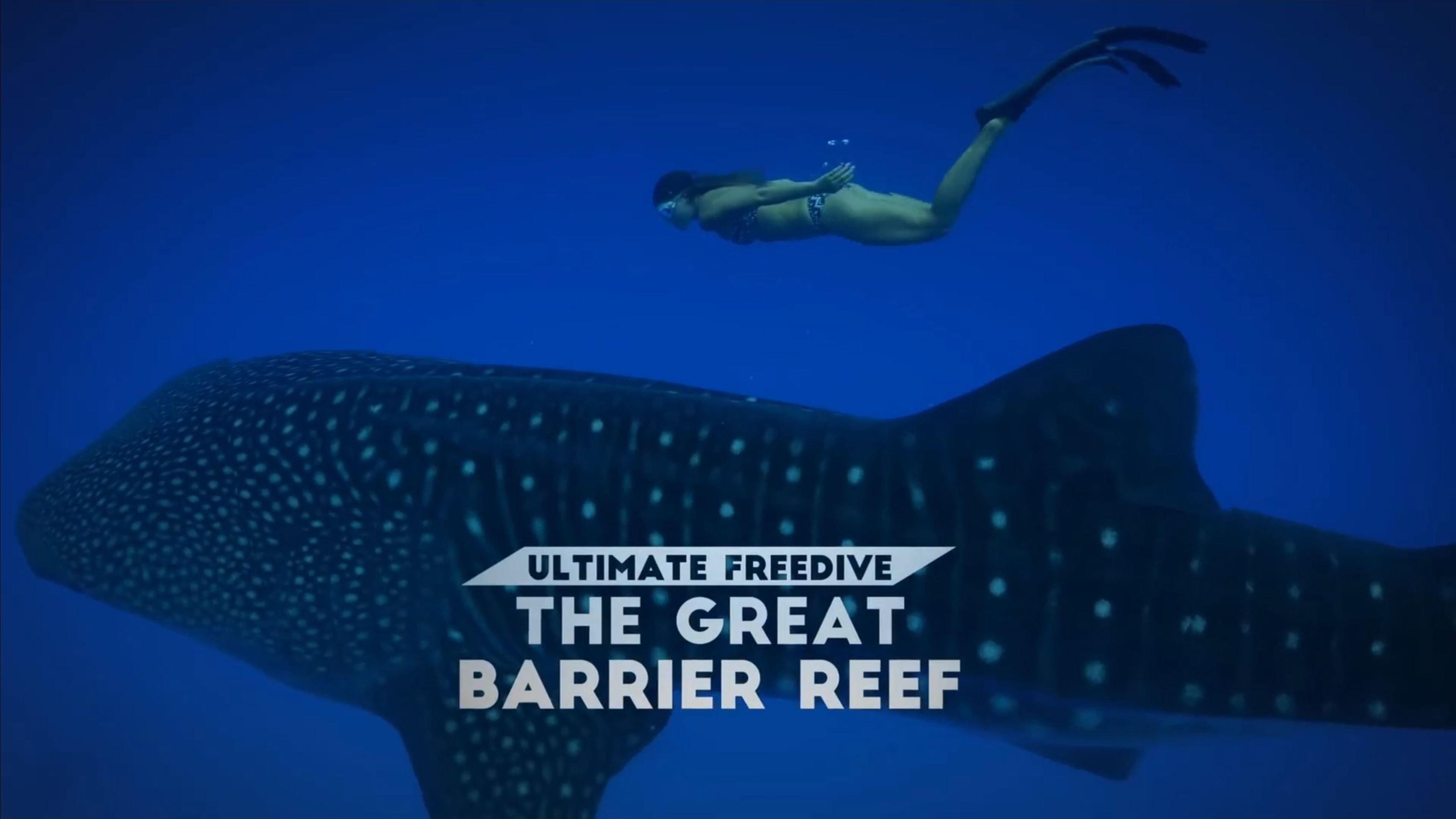 Ultimate Freedive: The Great Barrier Reef 2016 movie scene